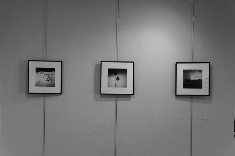 How to prepare a photography exhibition — aows
