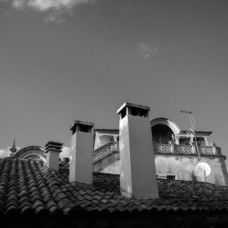 DSC07901.jpg