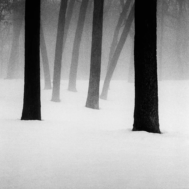 The last of winter, Michigan City, Indiana - February 2018