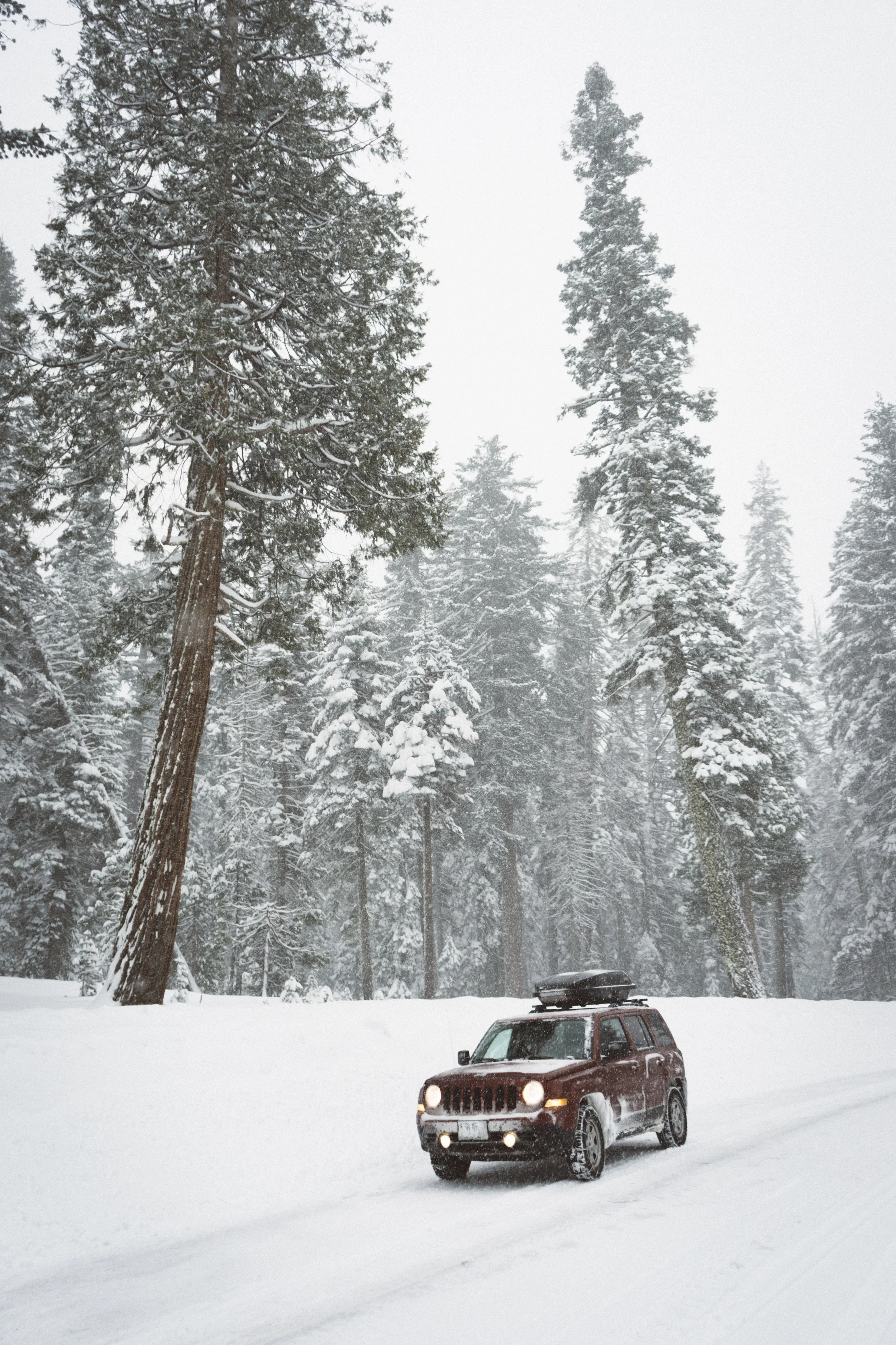 One of the most beautiful drives I’ve done.