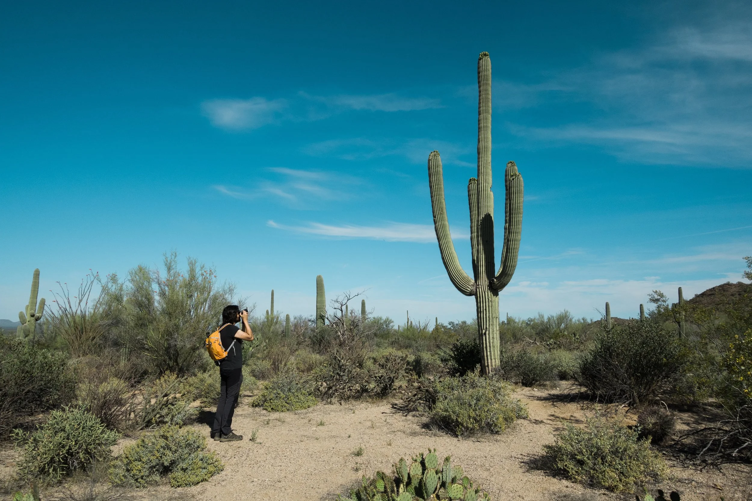 Can you tell I like Saguaros? Me photographing one in Saguaro National Park