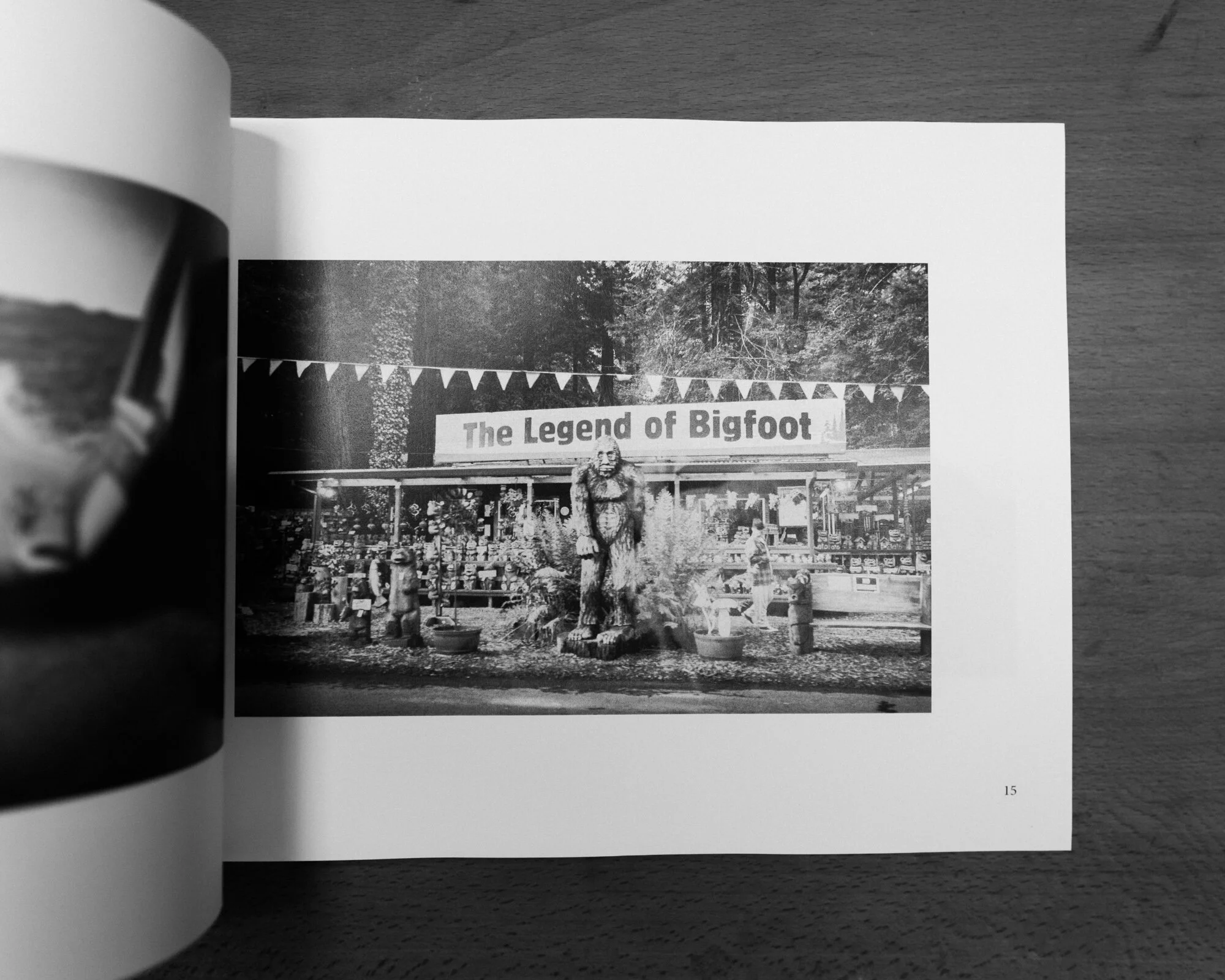 896FFF16-FFBE-4FE5-AE91-C7DB2EAA3864