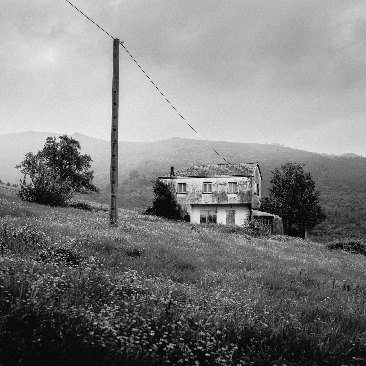 RIV09790.jpg