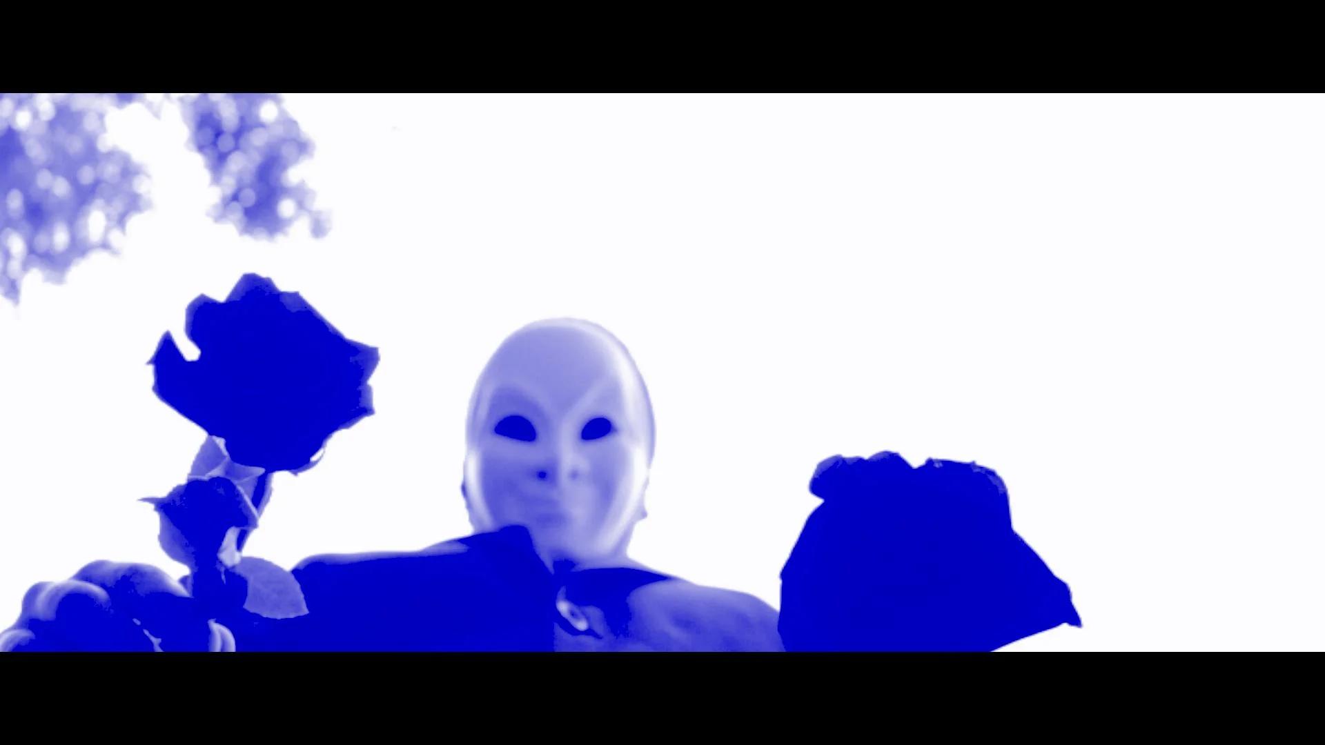 flowermask2.jpg