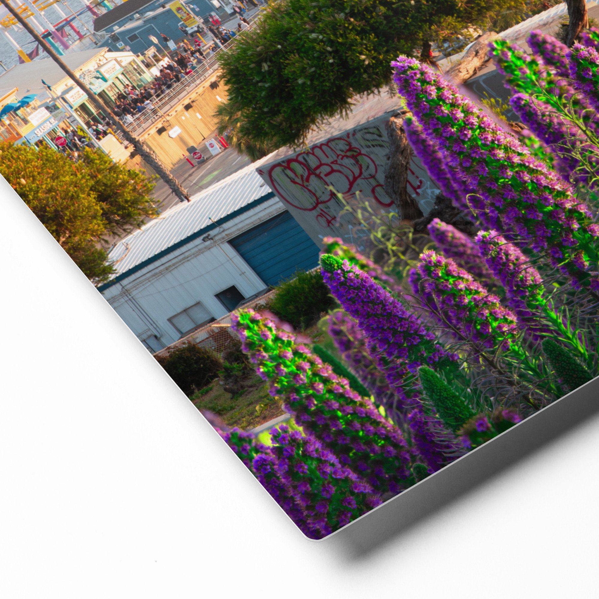 glossy-metal-print-(in)-white-8x10-product-details-682d7df981cda.jpg