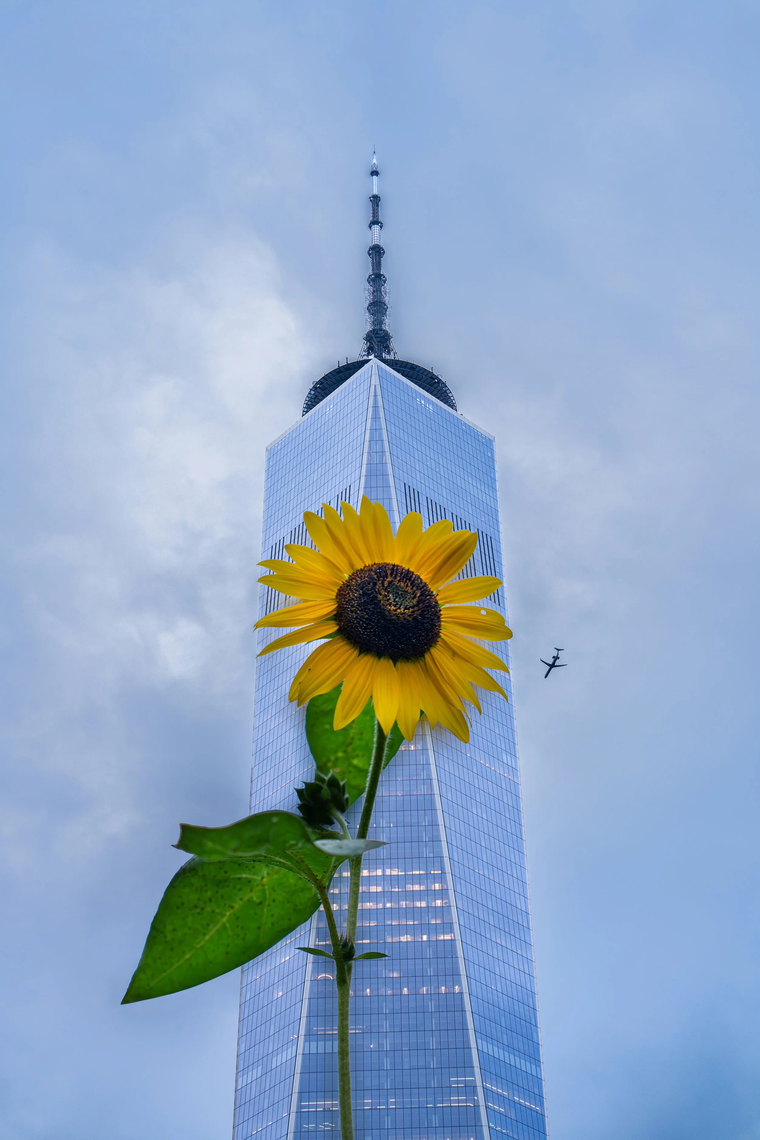Flower tower.jpg
