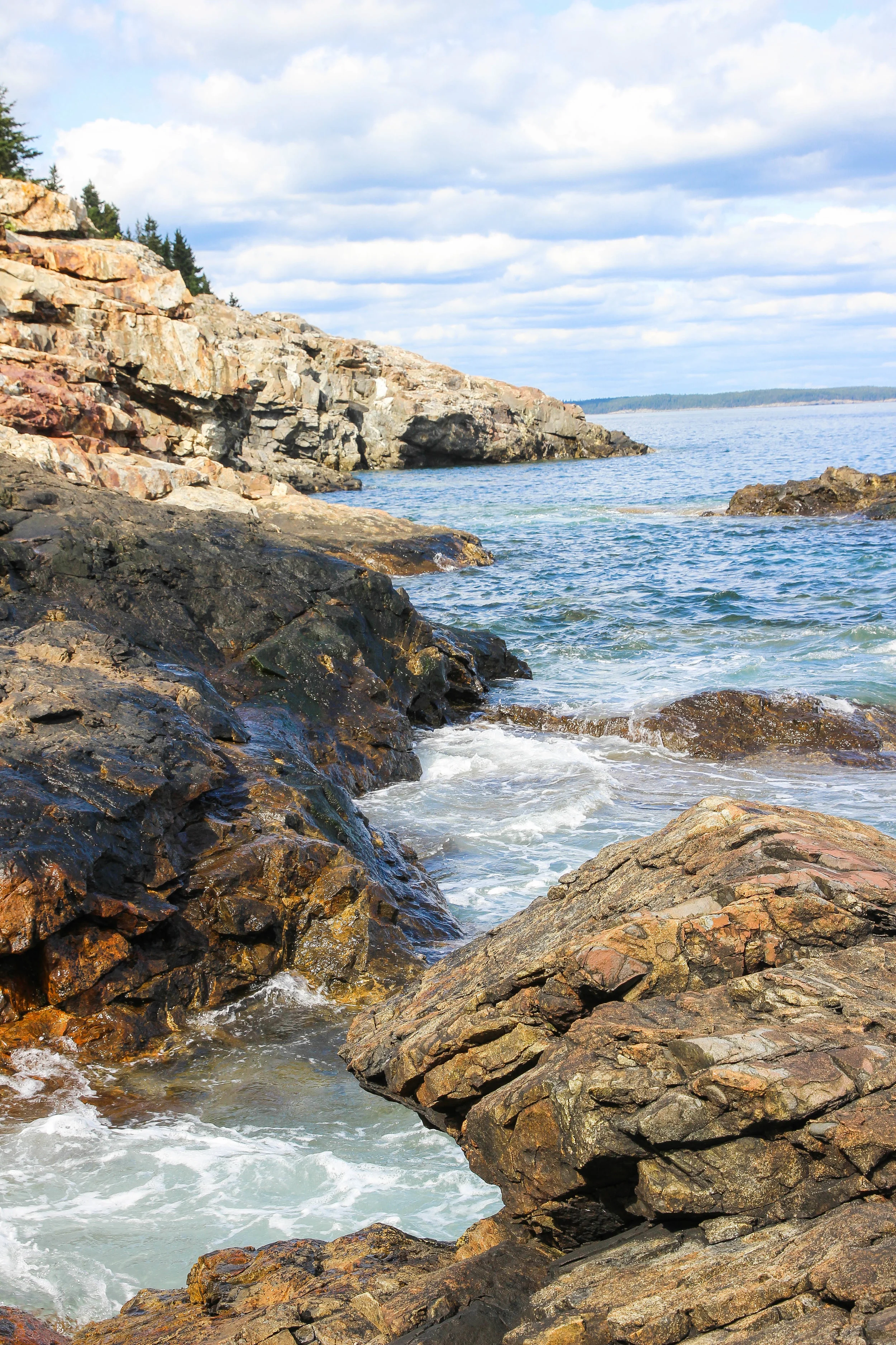 Rocks 2 Acadia_.jpg