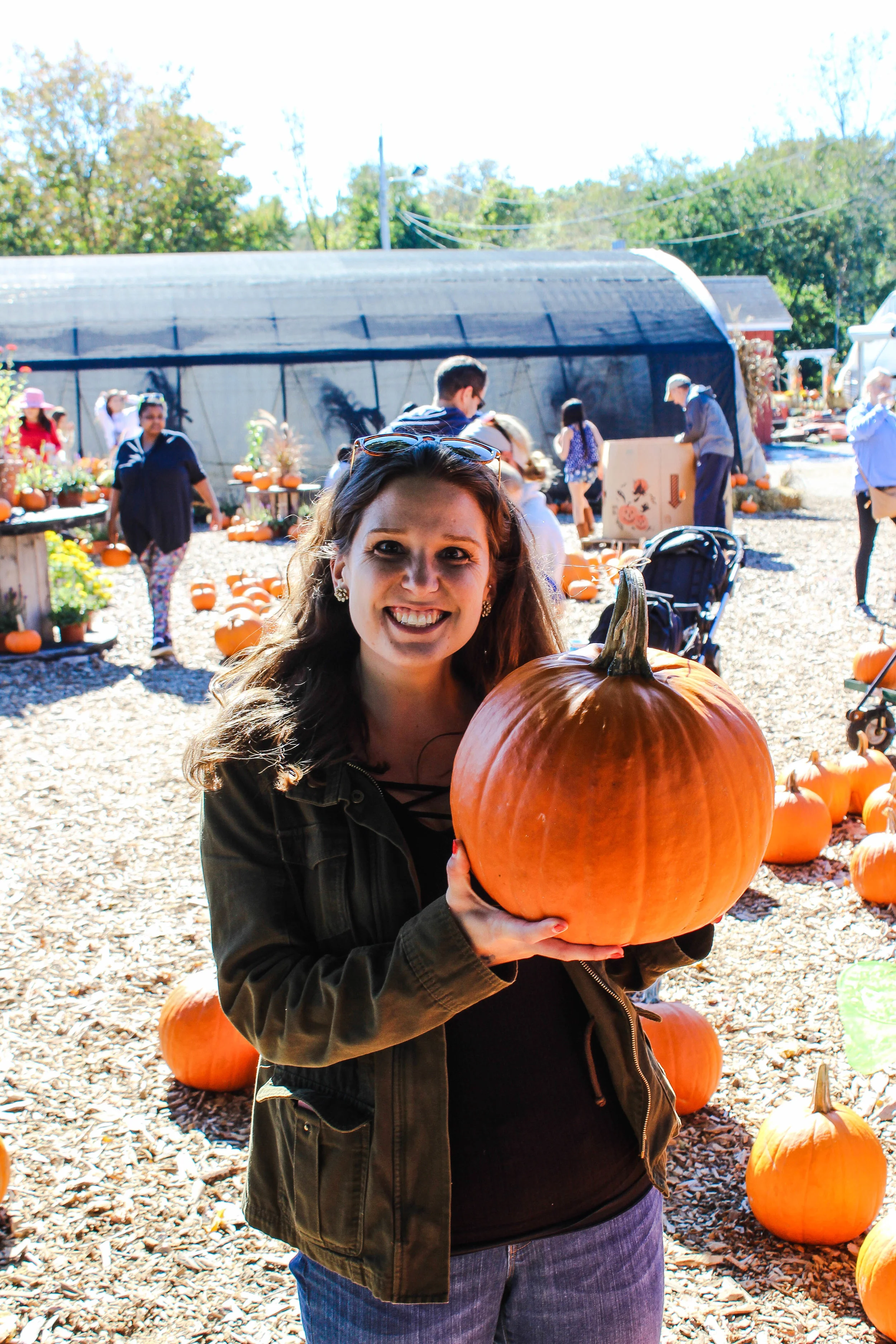 Brooksby Farm Sarah-25.jpg