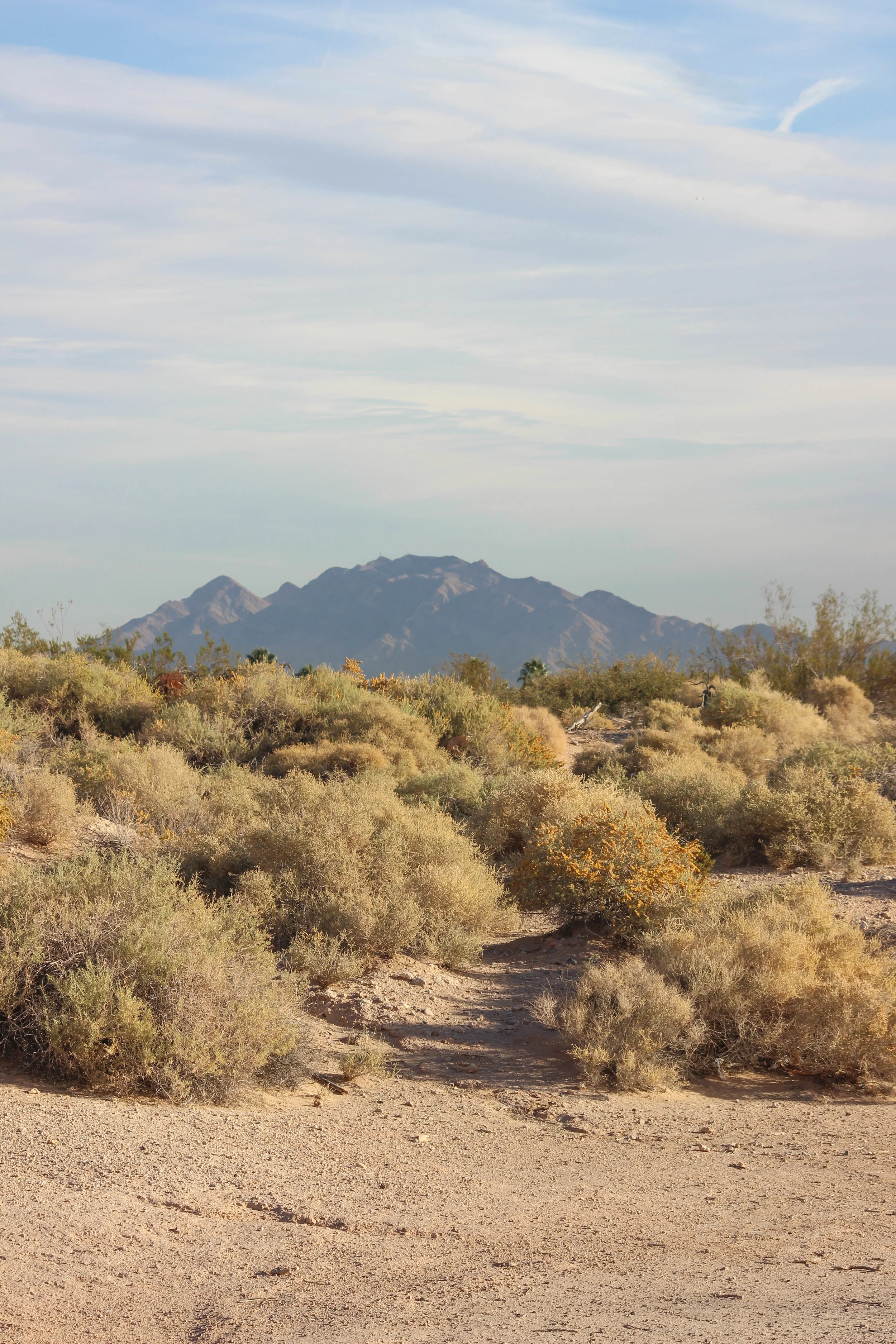 Sunset Park (Las Vegas, Nevada) 