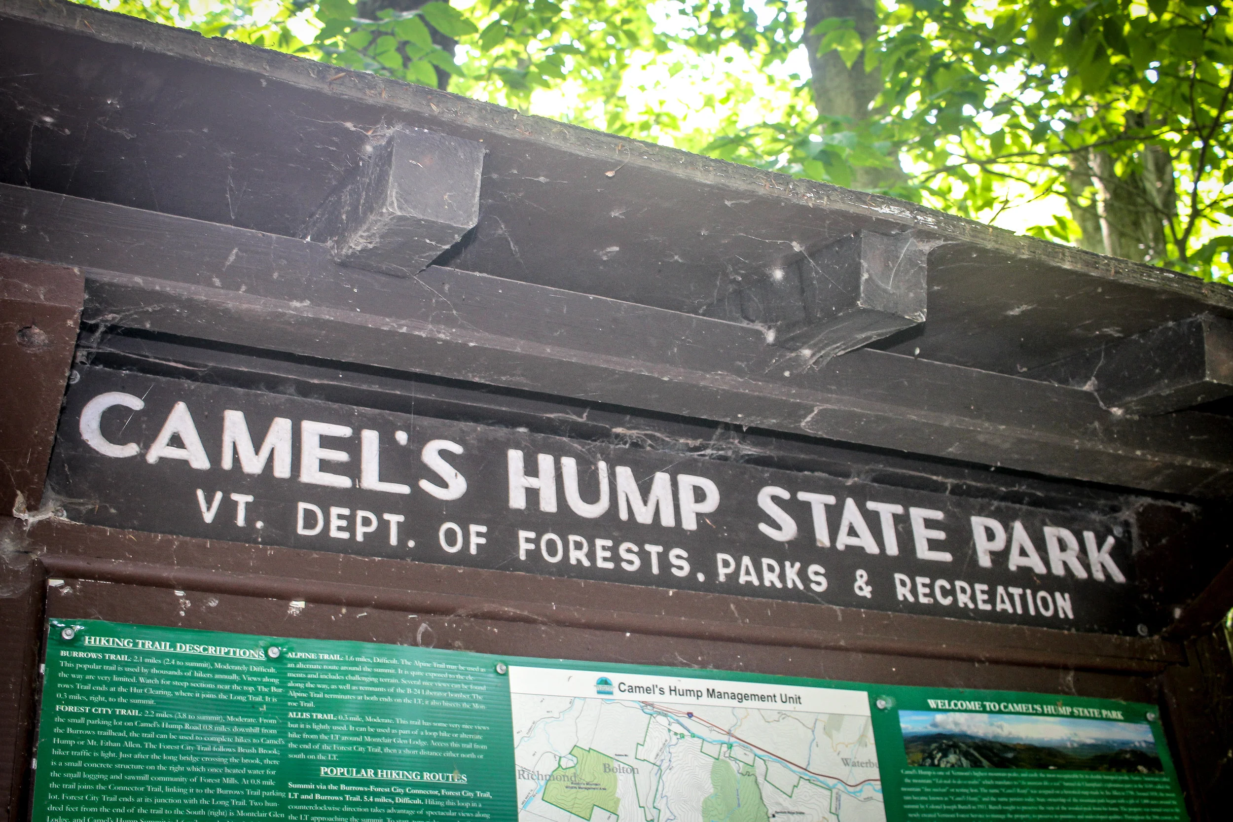 Camel's Hump TWG_.jpg