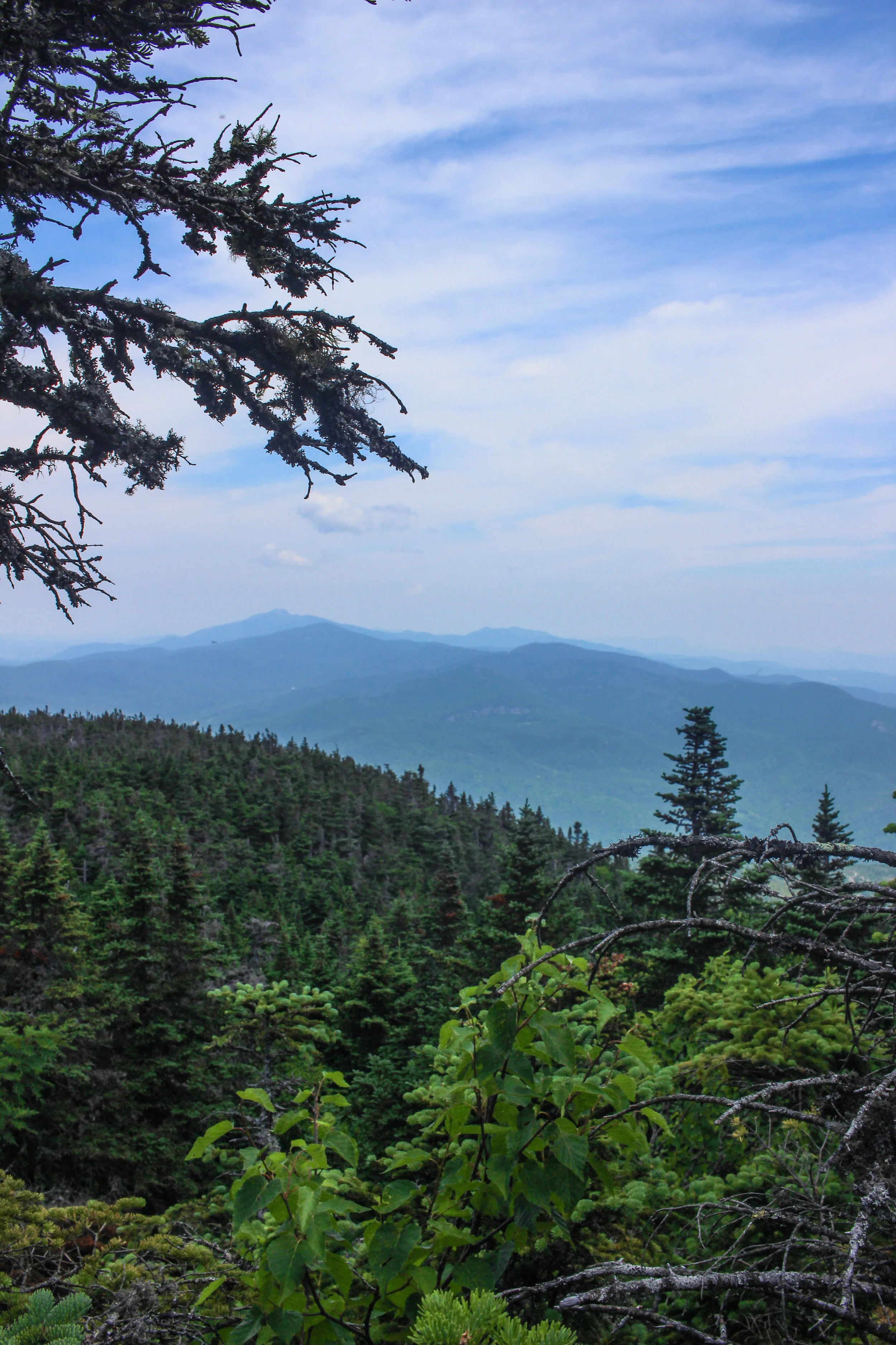 Camel's Hump TWG_-5.jpg