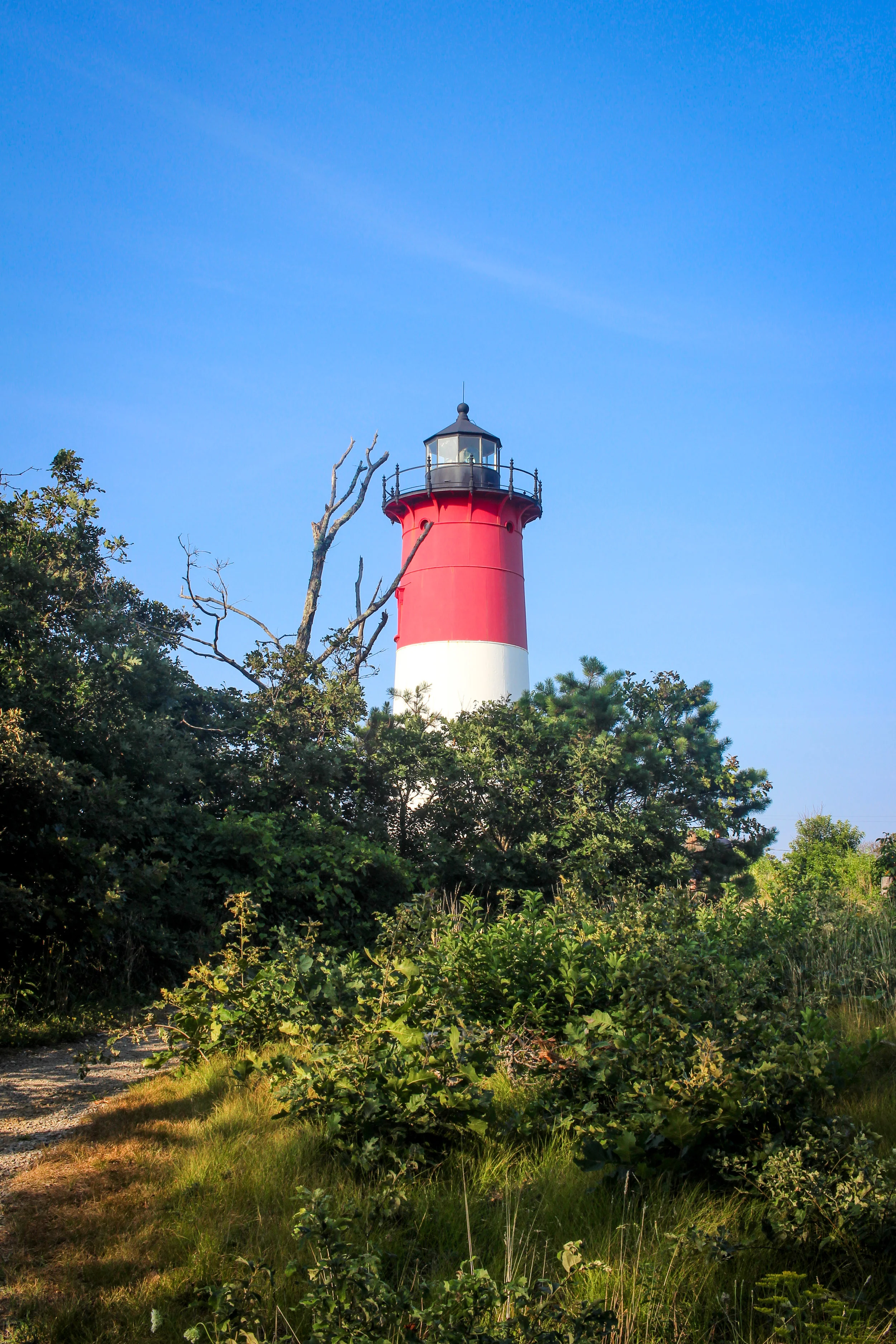 Cape Cod National Seashore TWG_-33.jpg