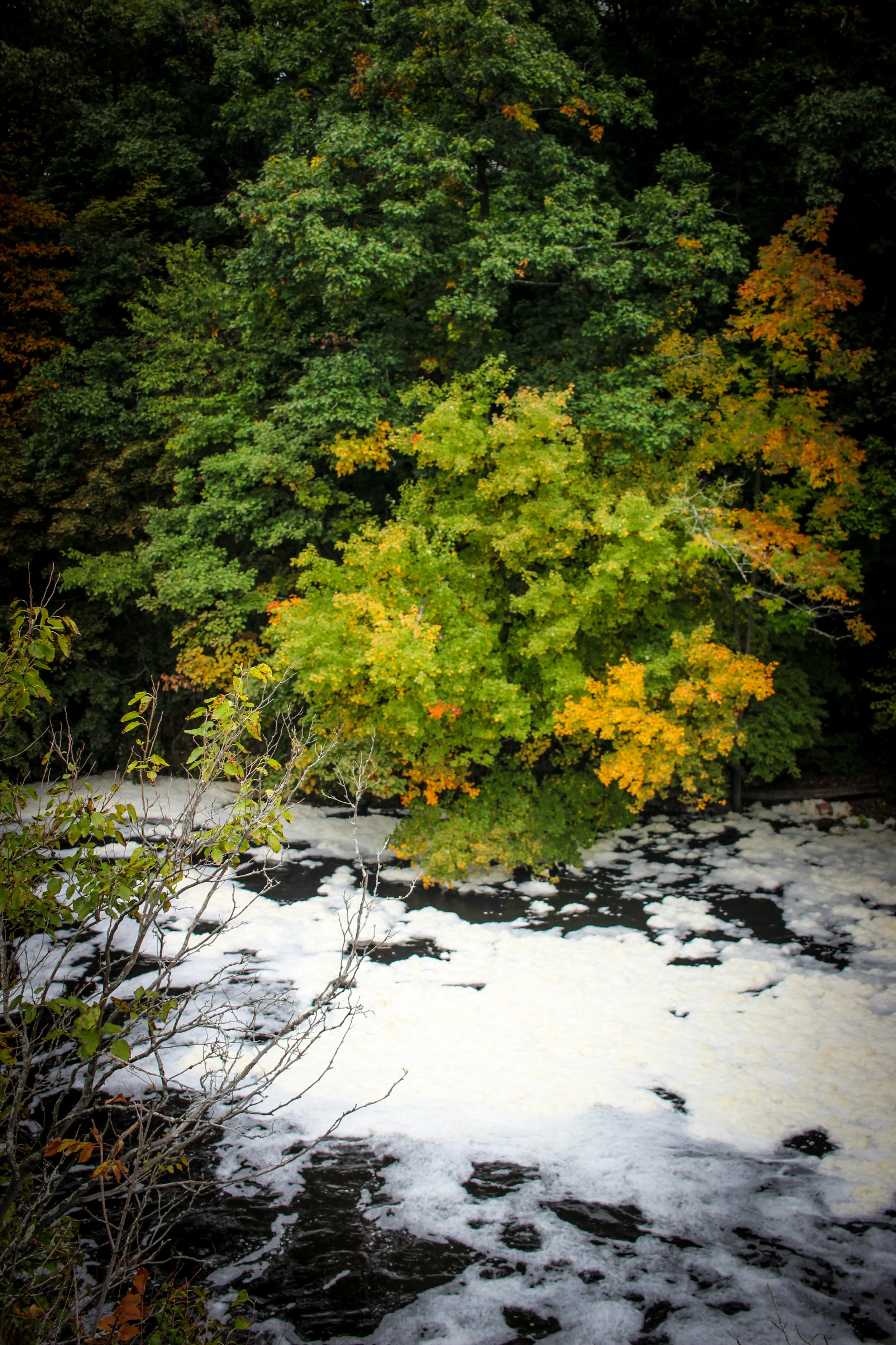 Hemlock Gorge Reservation TWG_.jpg