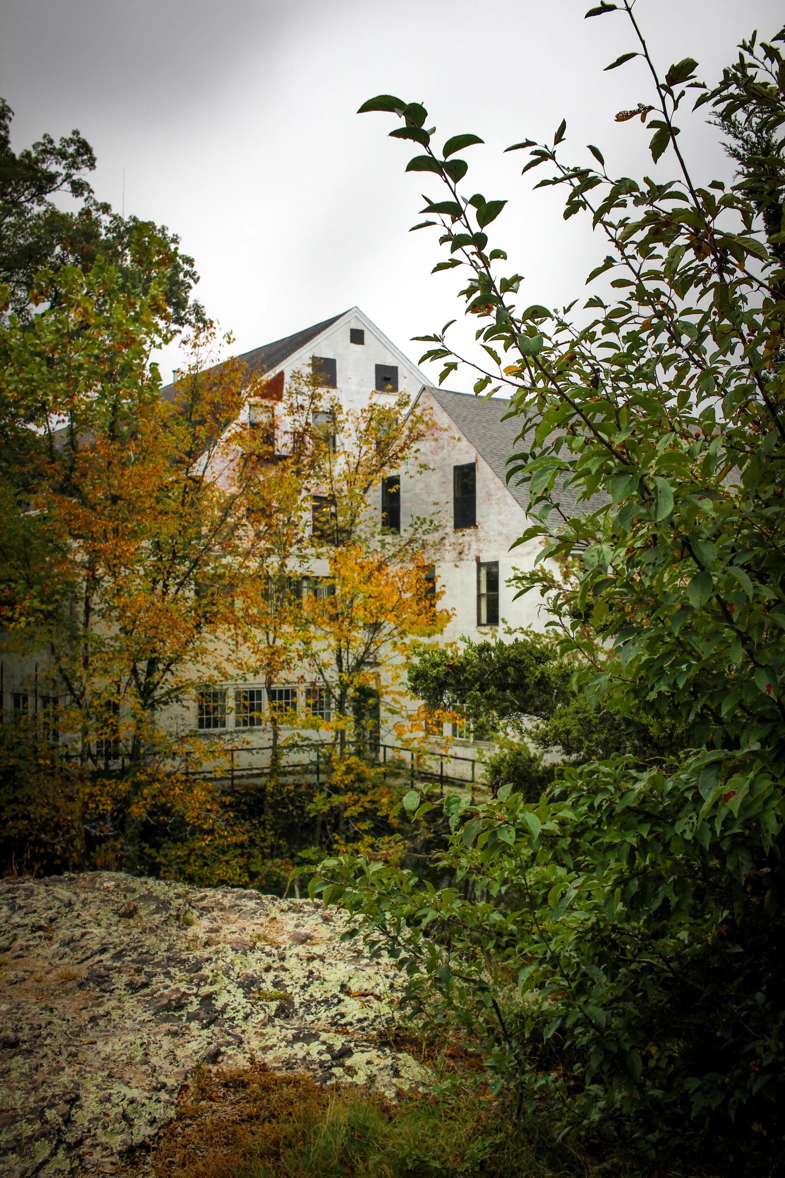 Hemlock Gorge Reservation TWG_-9.jpg