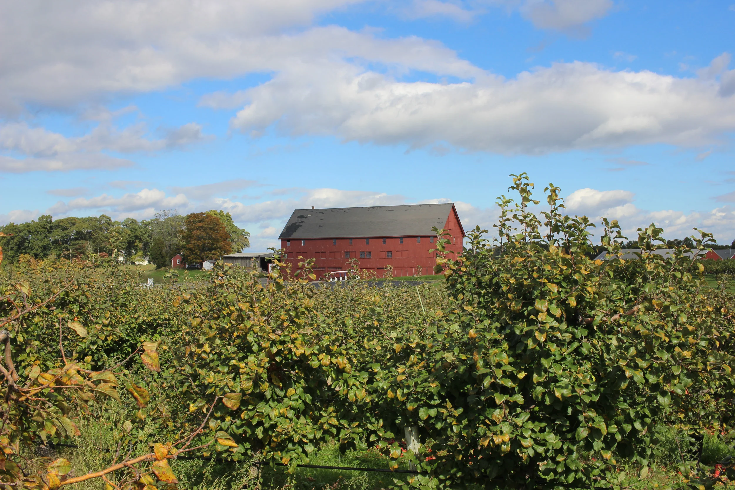 Belkin Family Lookout Farm (Natick, Massachusetts) — Travel With Gamble