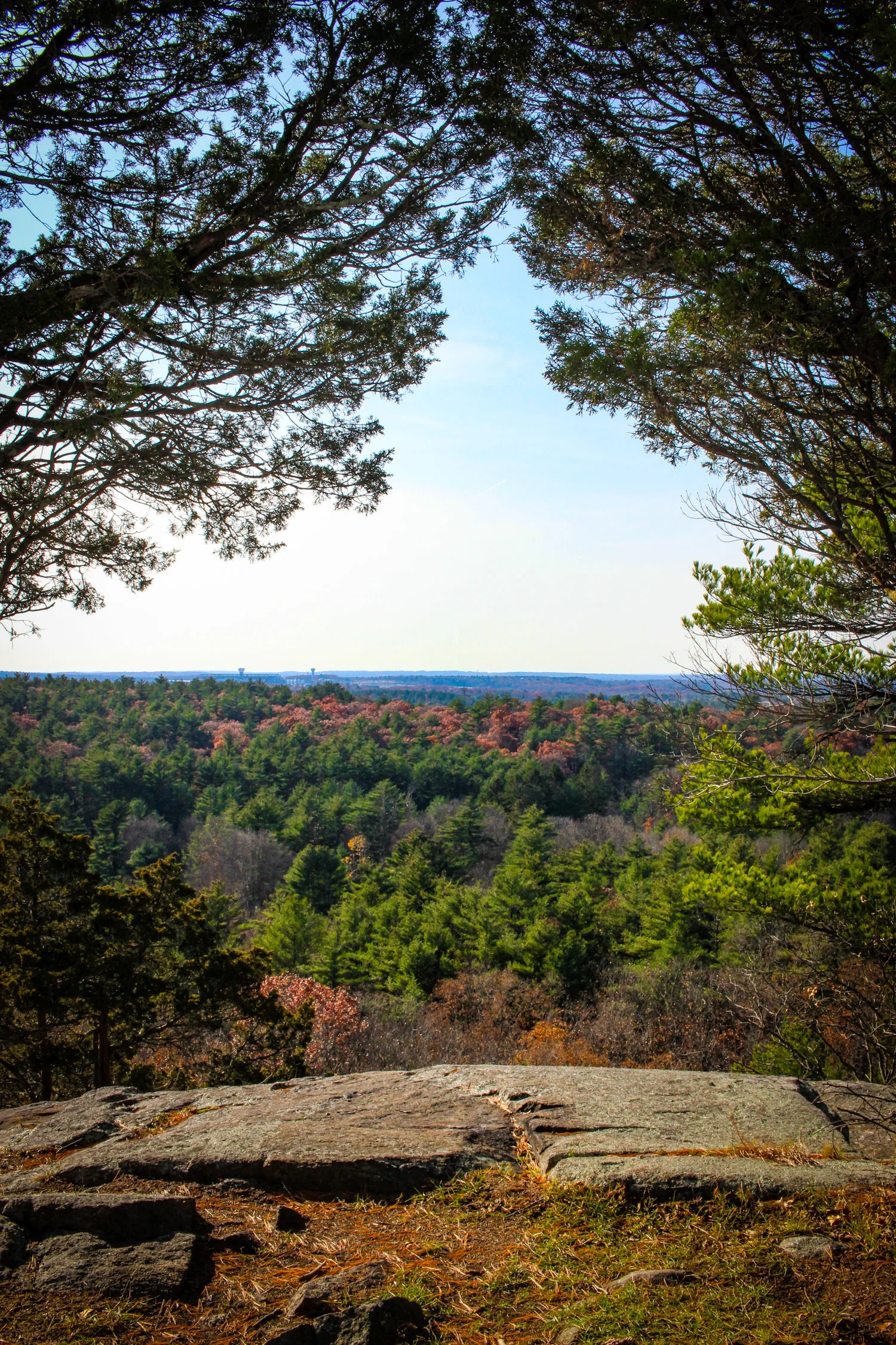 Moose Hill Wildlife Sanctuary (Sharon, Massachusetts)