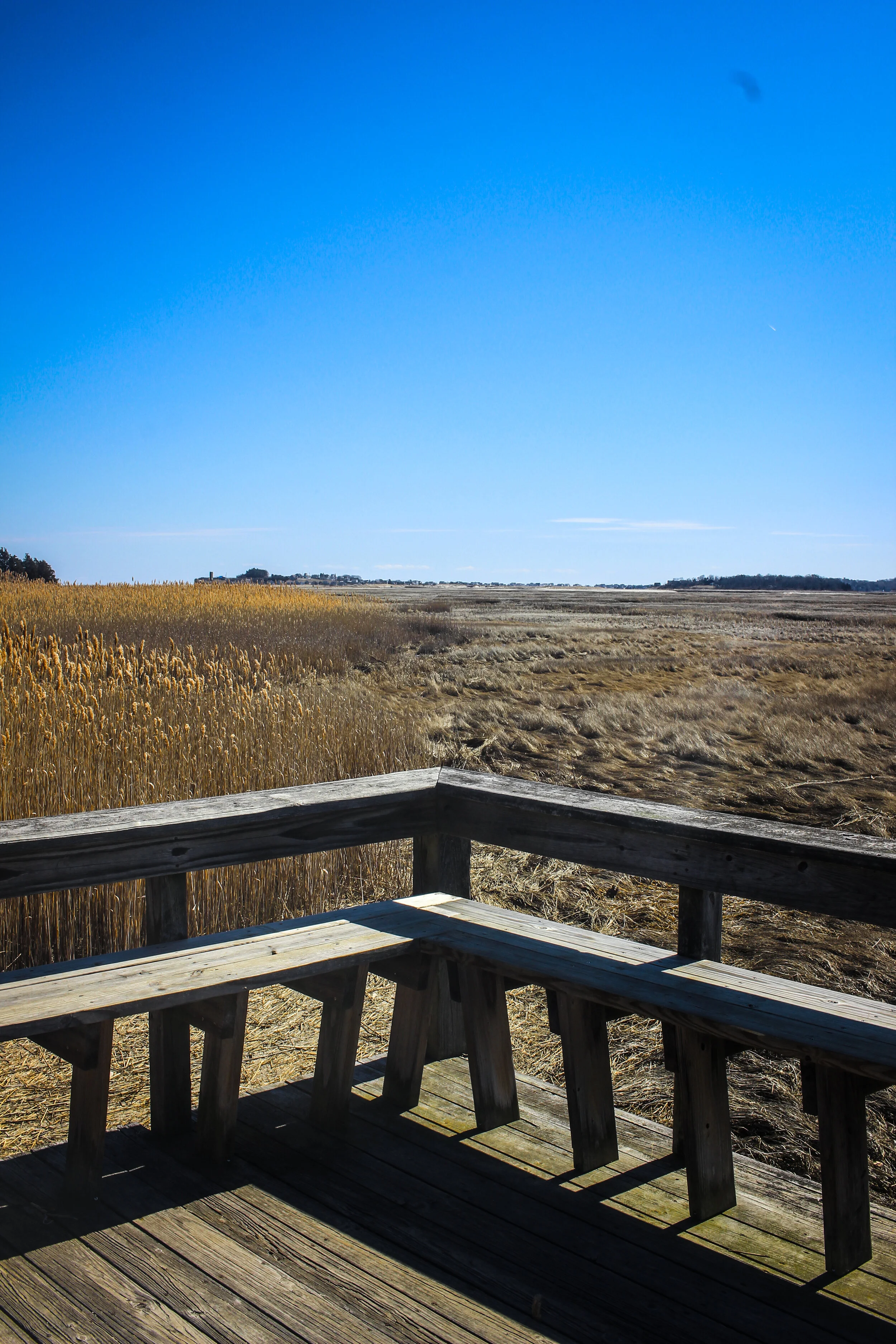 AJ Memorial Trial & Scituate Light - TWG March 2020-7.jpg