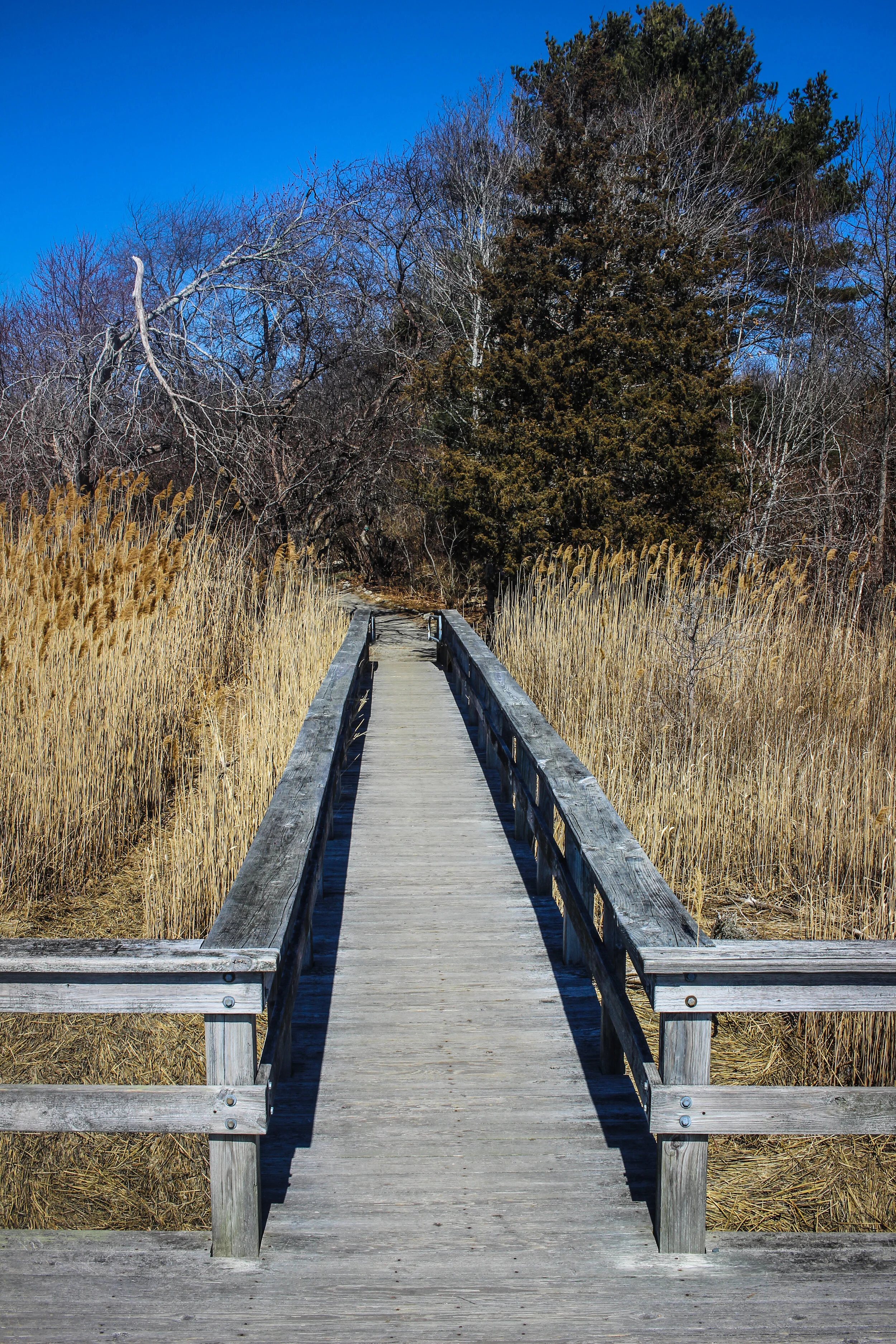 AJ Memorial Trial & Scituate Light - TWG March 2020-8.jpg