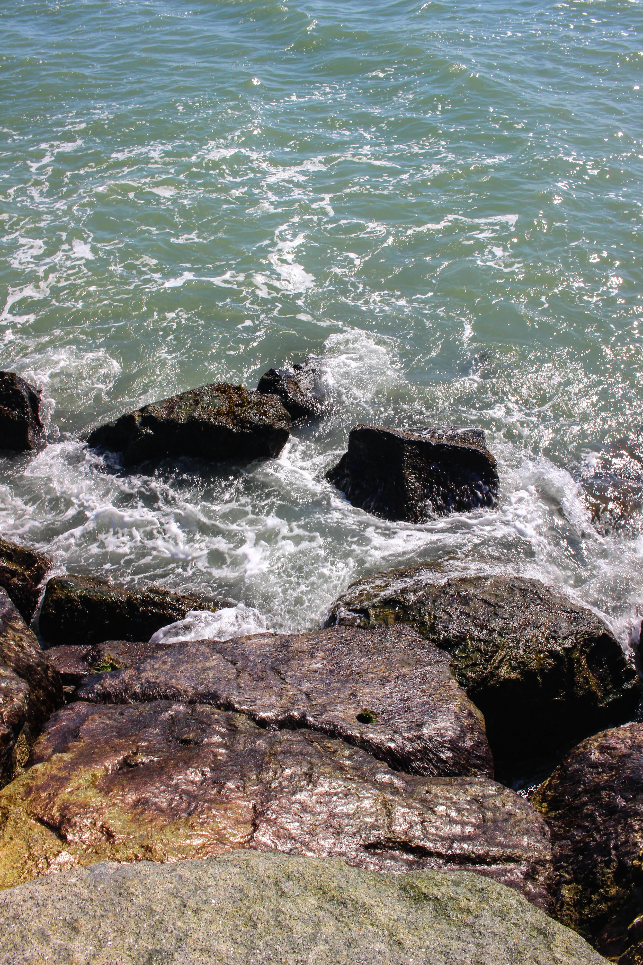 AJ Memorial Trial & Scituate Light - TWG March 2020-58.jpg
