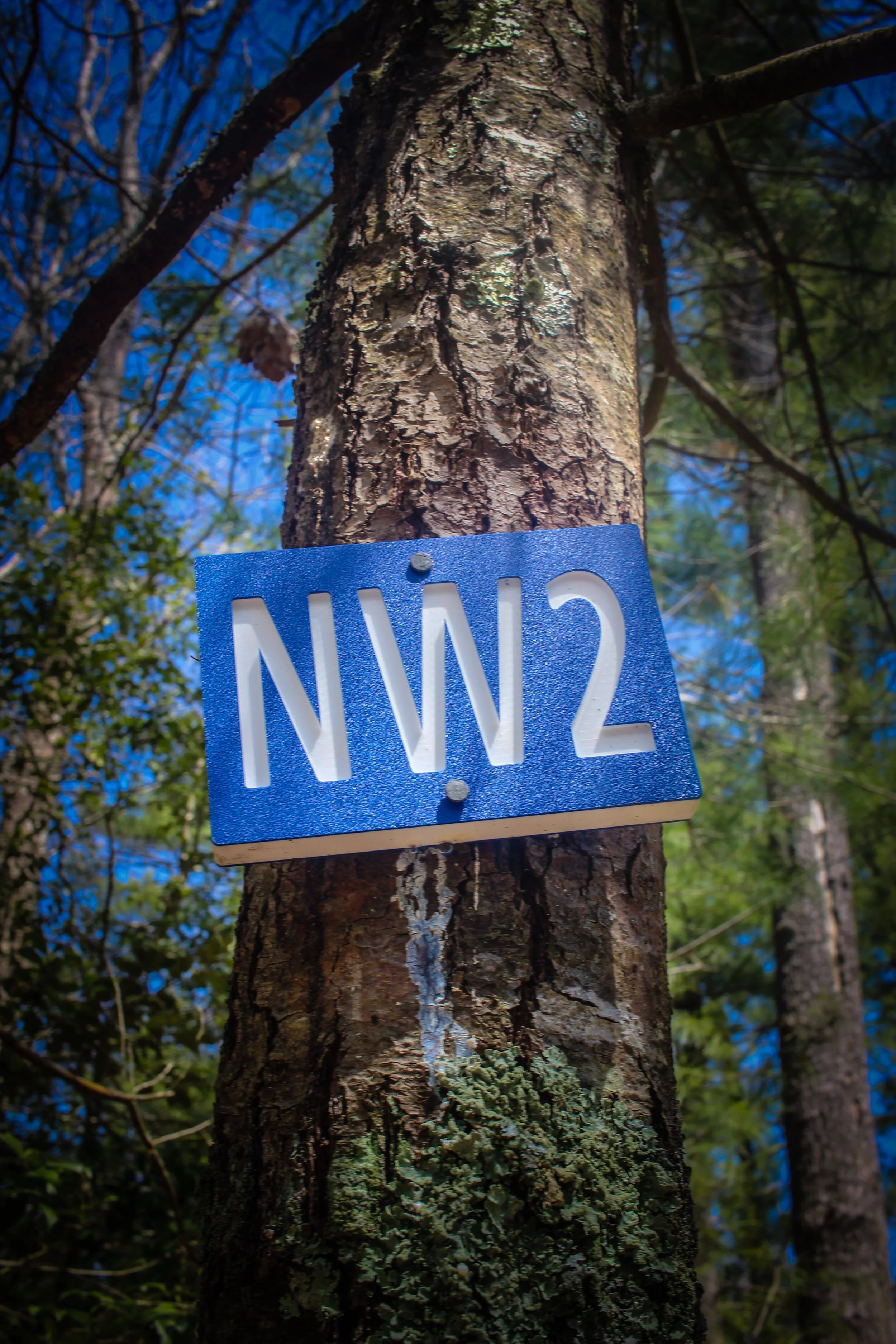 Wompatuck State Park (Hingham) - April 2020 (TWG).jpg