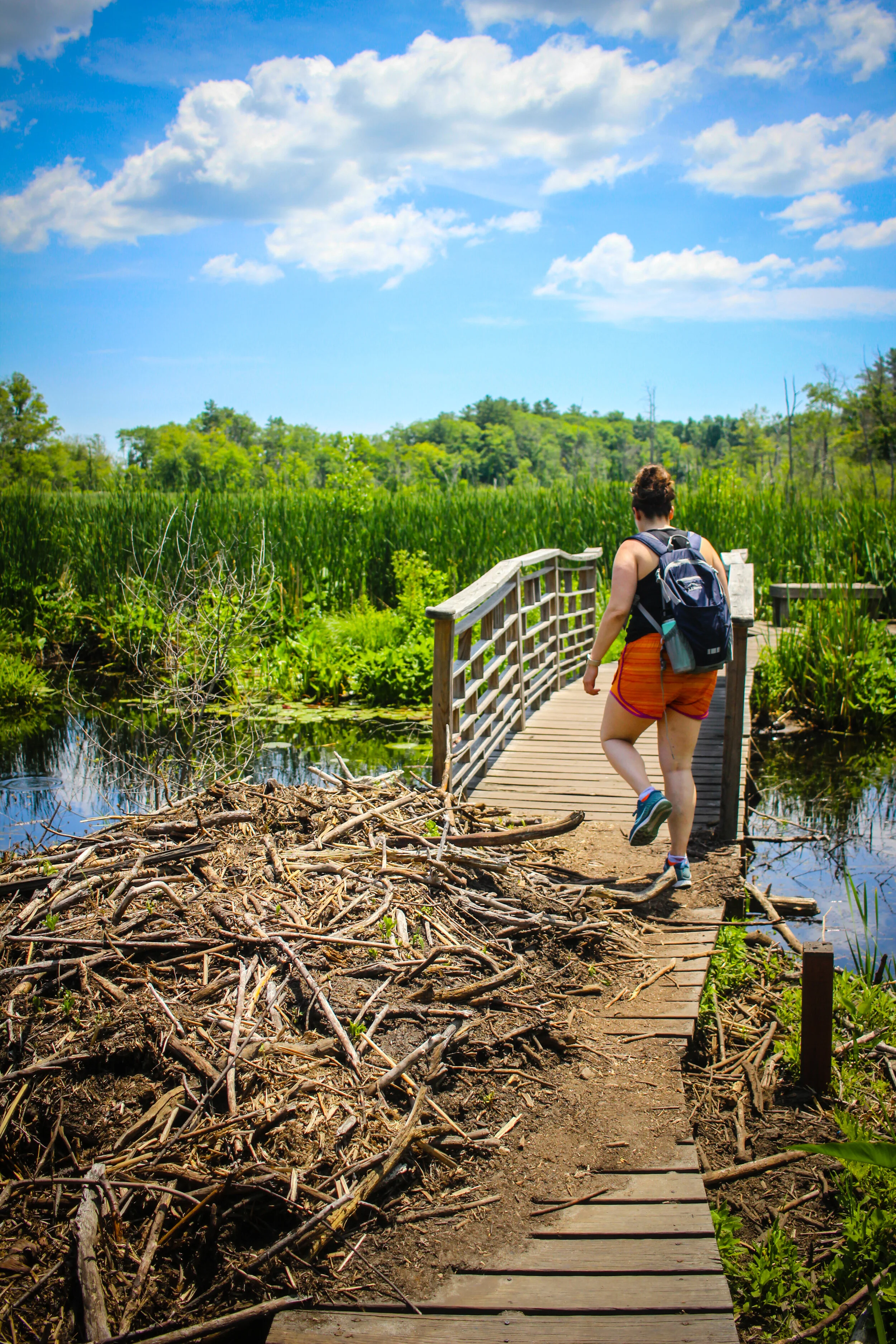 Ipswich Wildlife Sanctuary - June 2020 - Travel With Gamble_-54.jpg