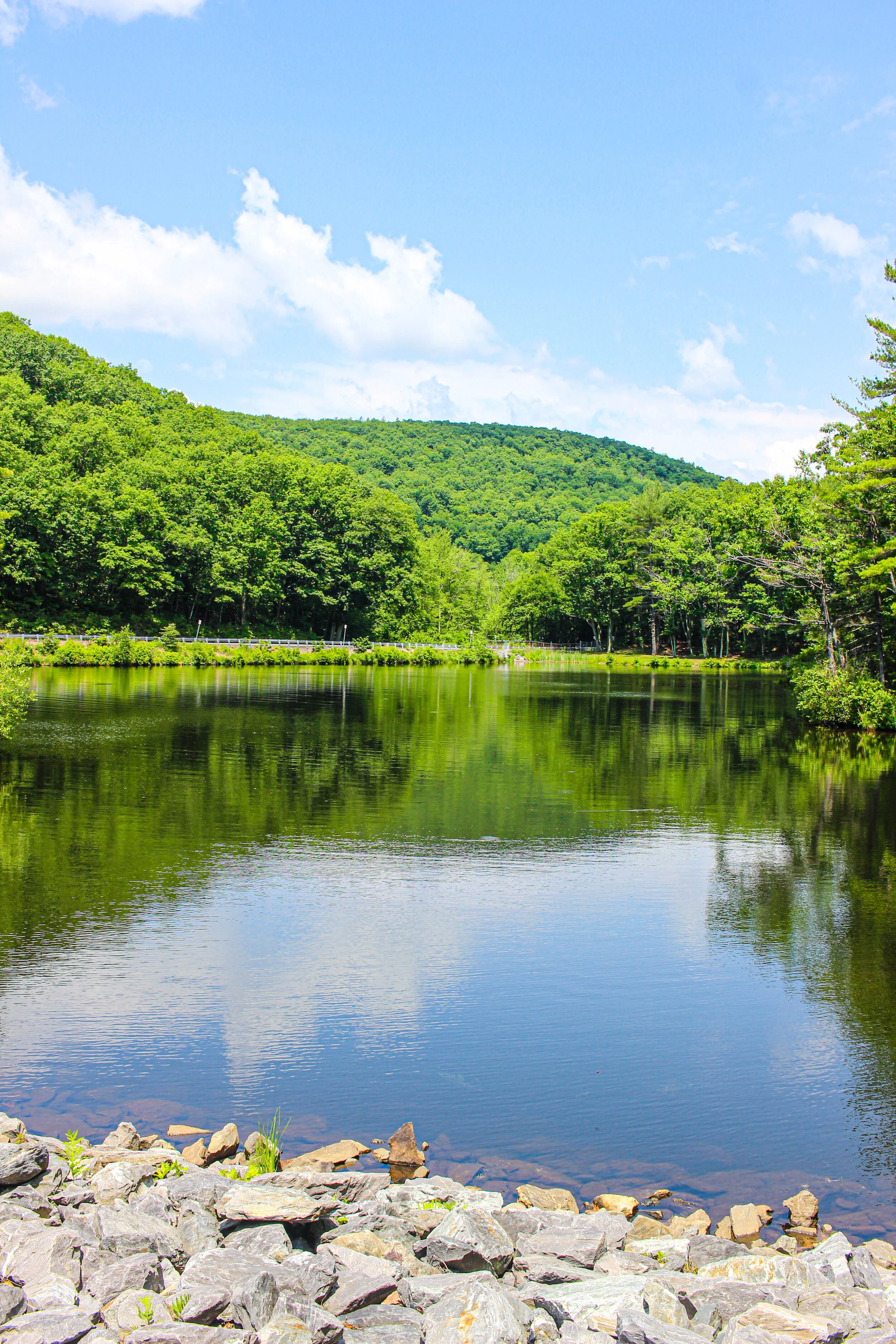 Crow Hill State Reservation - July 2020  - TWG_-18.jpg