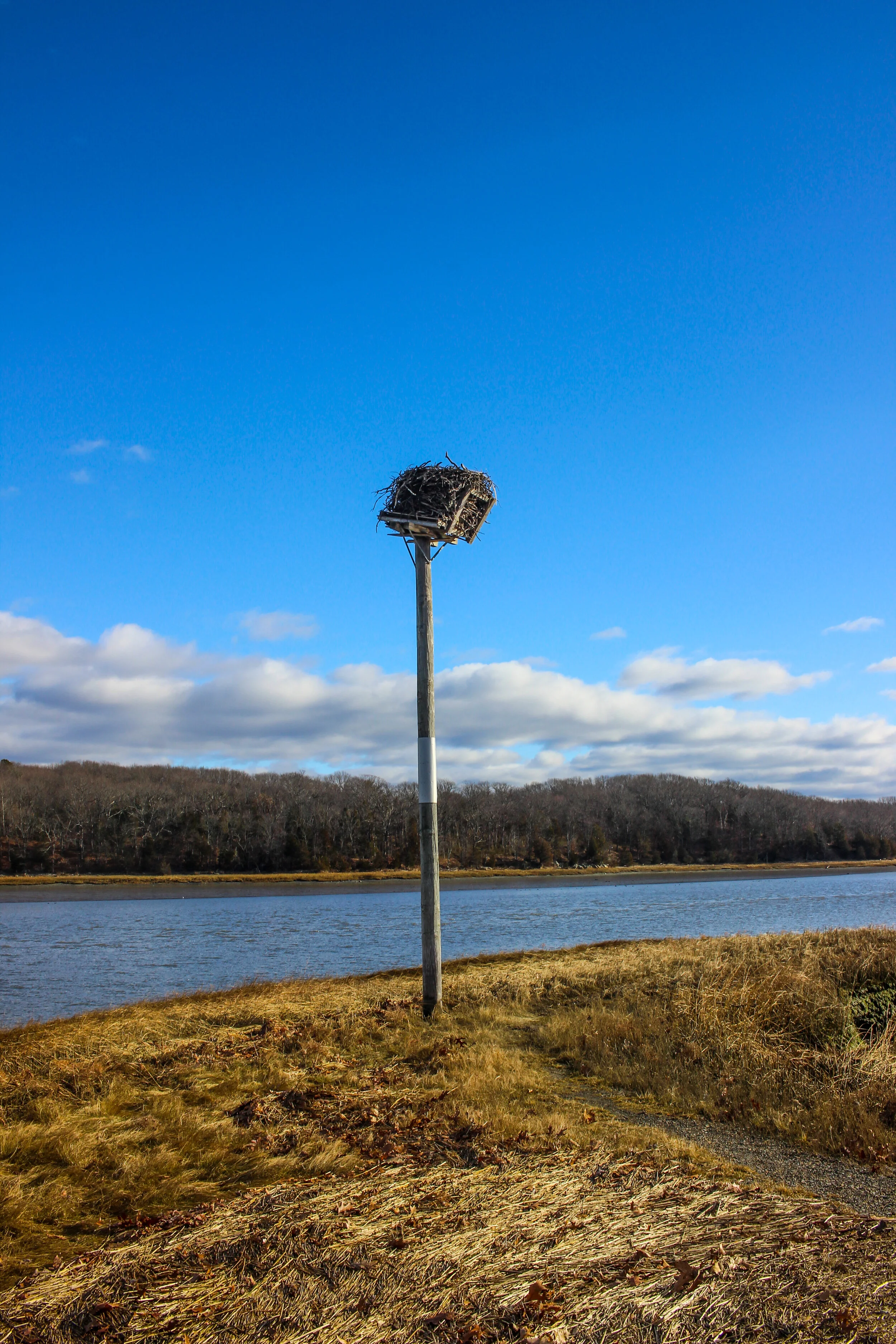 Great Esker Park - Jan 2021 (Edited)-47.jpg