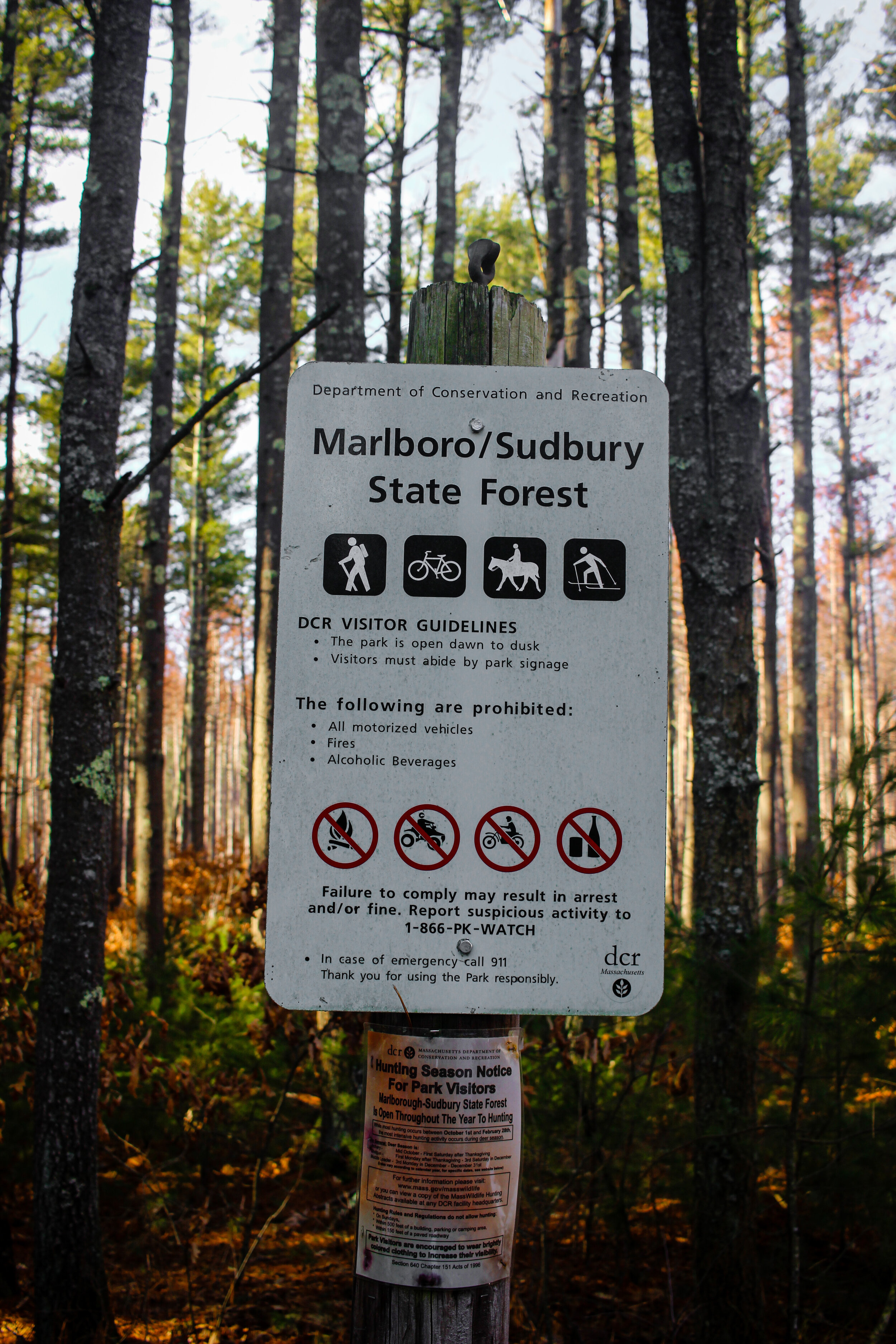 Marlboro-Sudbury State Forest (Stow, Massachusetts)
