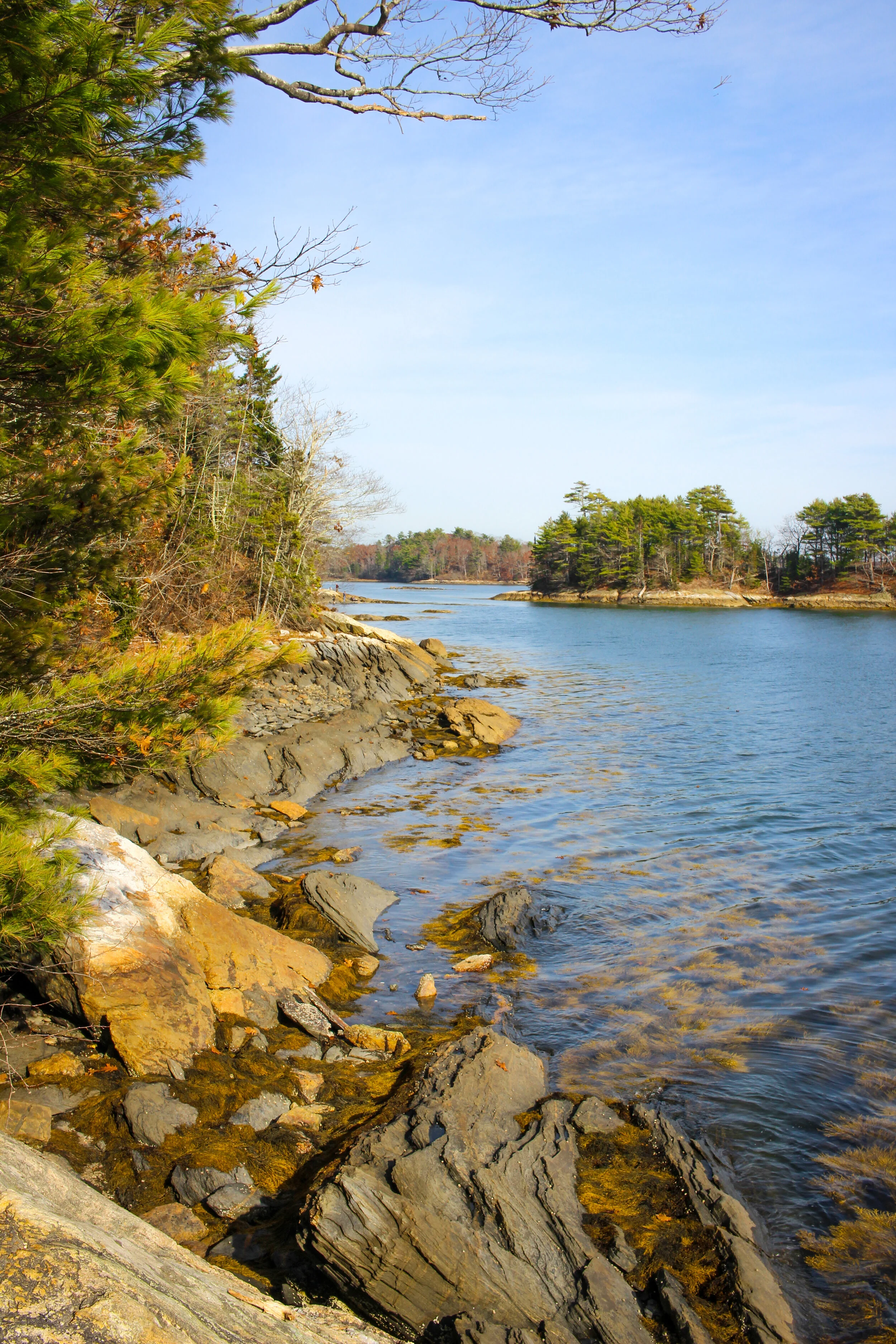Wolfe’s Neck Woods State Park (Freeport, Maine)