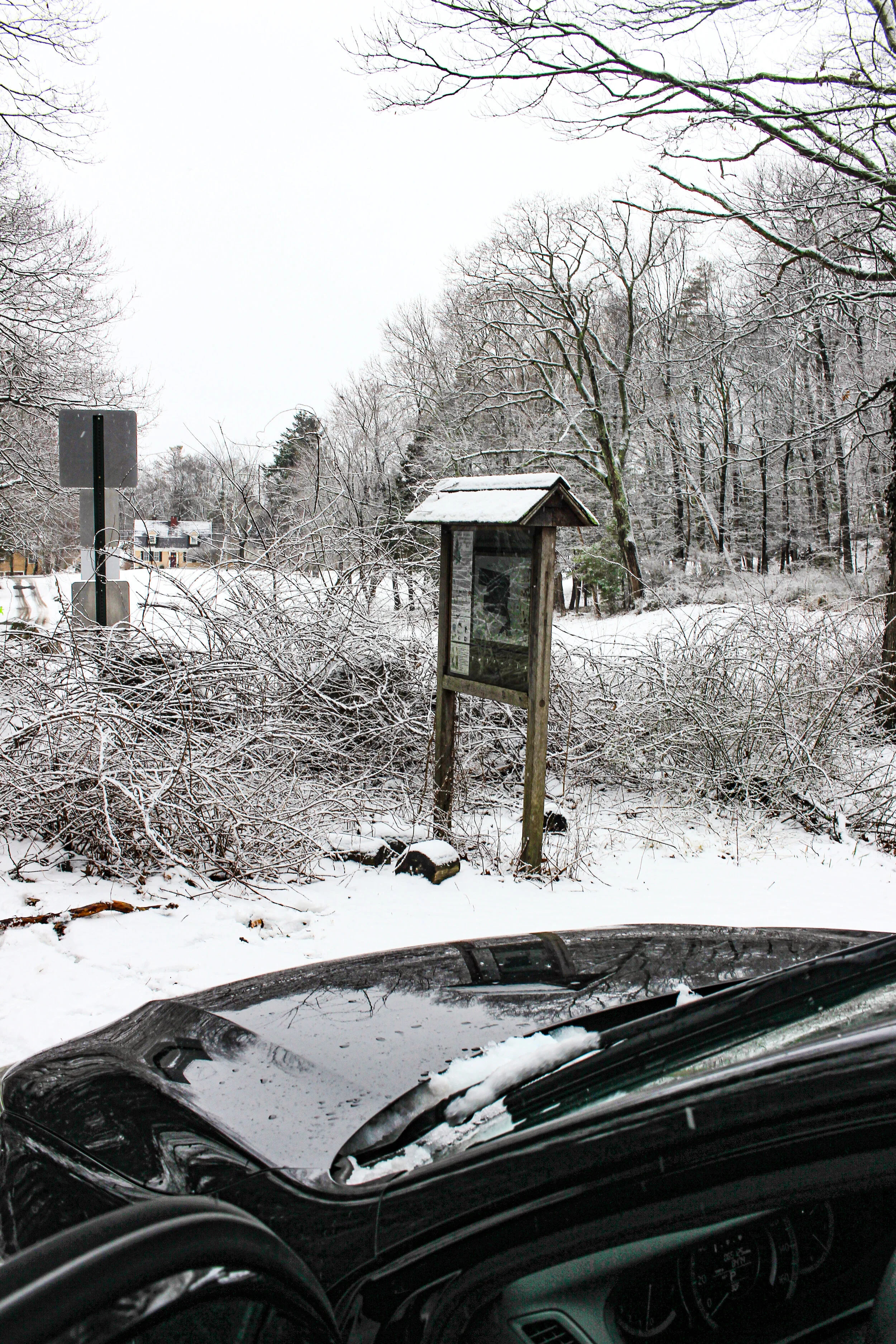 Wheelwright Park_-23.jpg