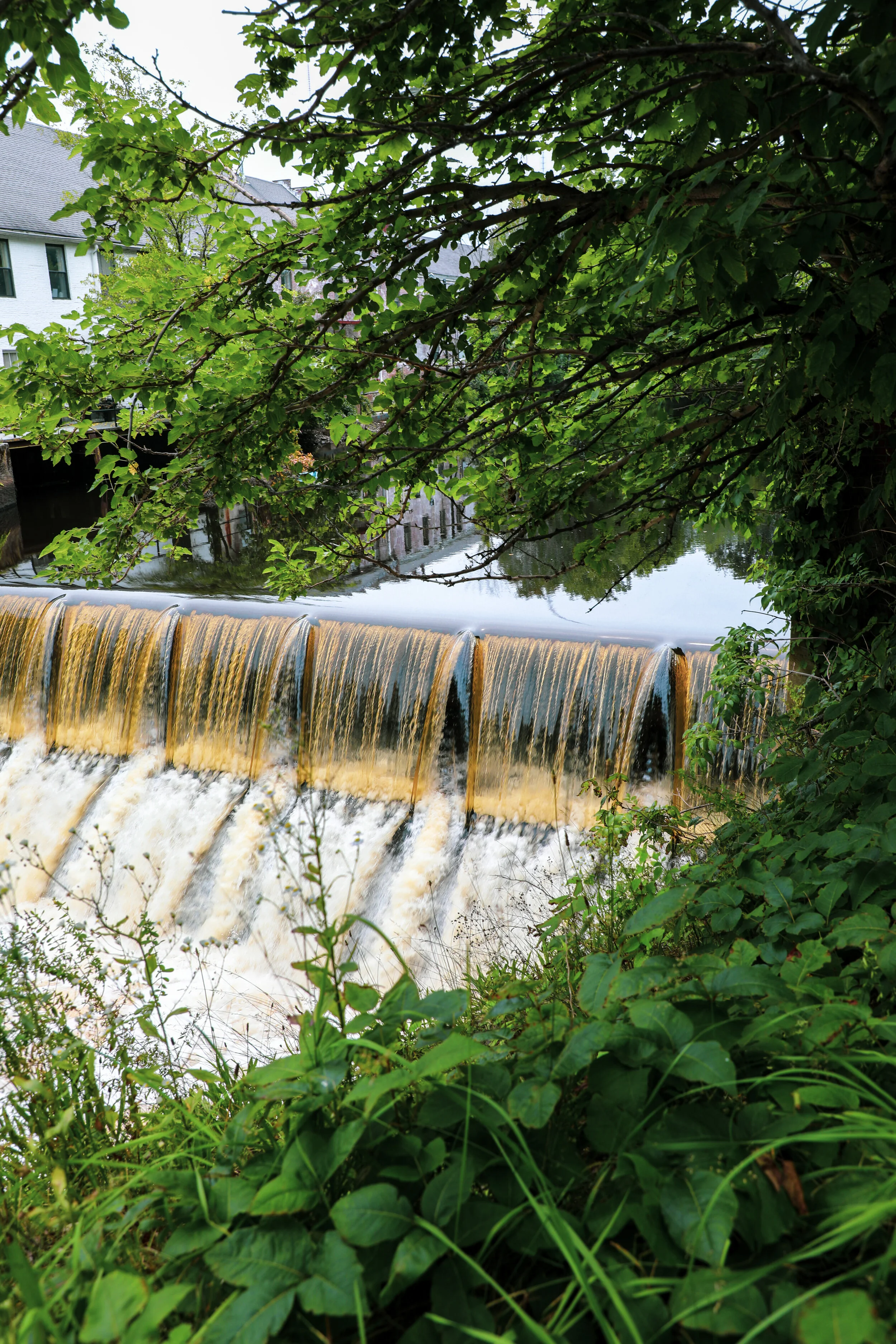 Hemlock Gorge Reservation (Newton, Massachusetts)