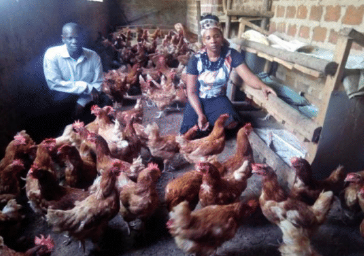 Kiwanuka Jane from Seeta, Uganda, has been rearing over 500 chickens for many years with her Capital for Life loan, enabling her to feed, clothe and educate her children. She is now able to pay the tuition fees for her son to attend university.