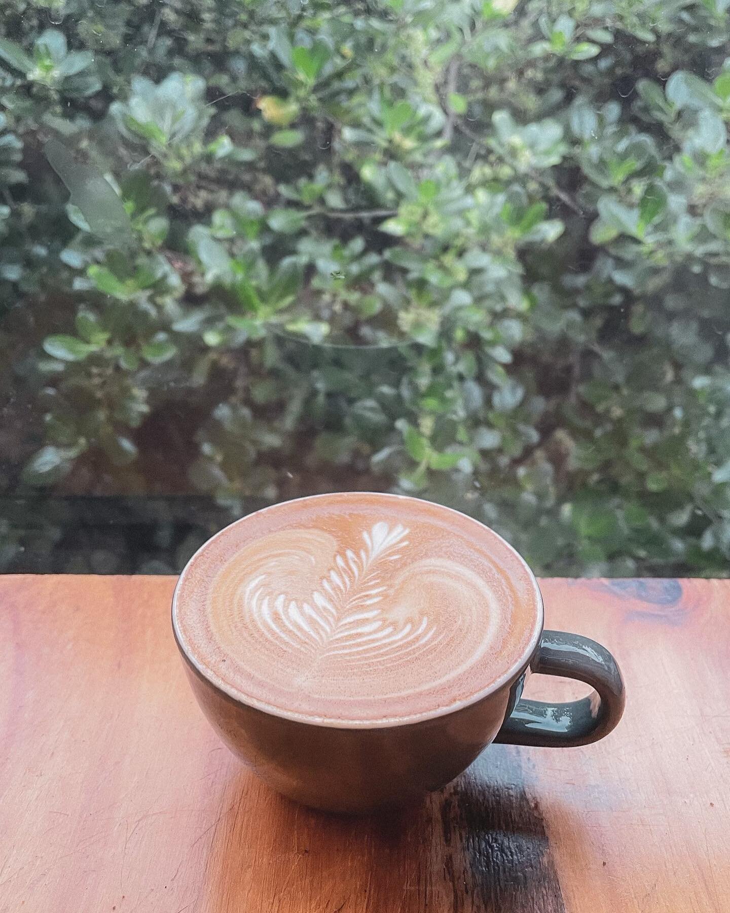 The weekend is almost here 👌

#coffeetime #bussymcbusfacecoffee #brewsonthemove #specialtycoffee #flatwhite #mtmartha #mobilecoffee #morningtonpeninsula #weekendvibes #supportlocal #commonfolkcoffee
