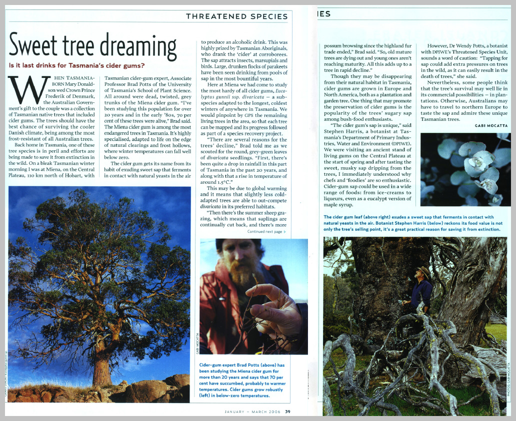  Australian Geographic — Sweet Tree Dreaming 