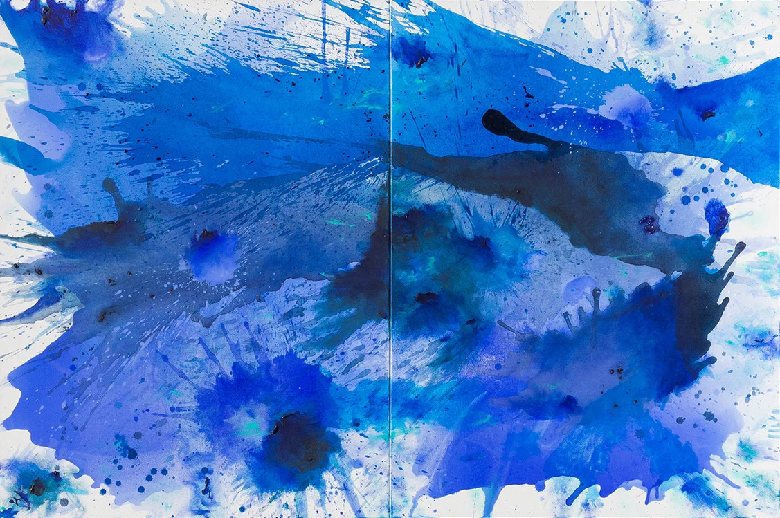 BlueLand Splash, 2015