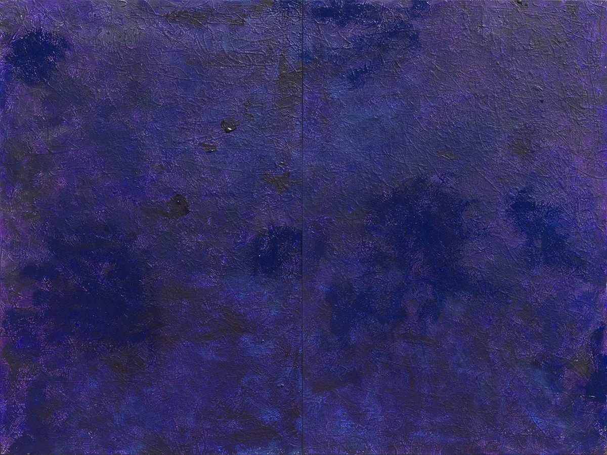 PurpleField, 2017