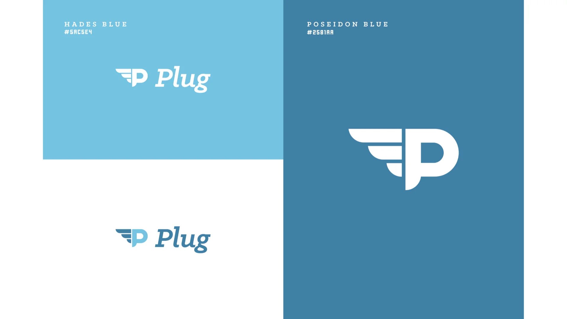 Plug.007.jpeg