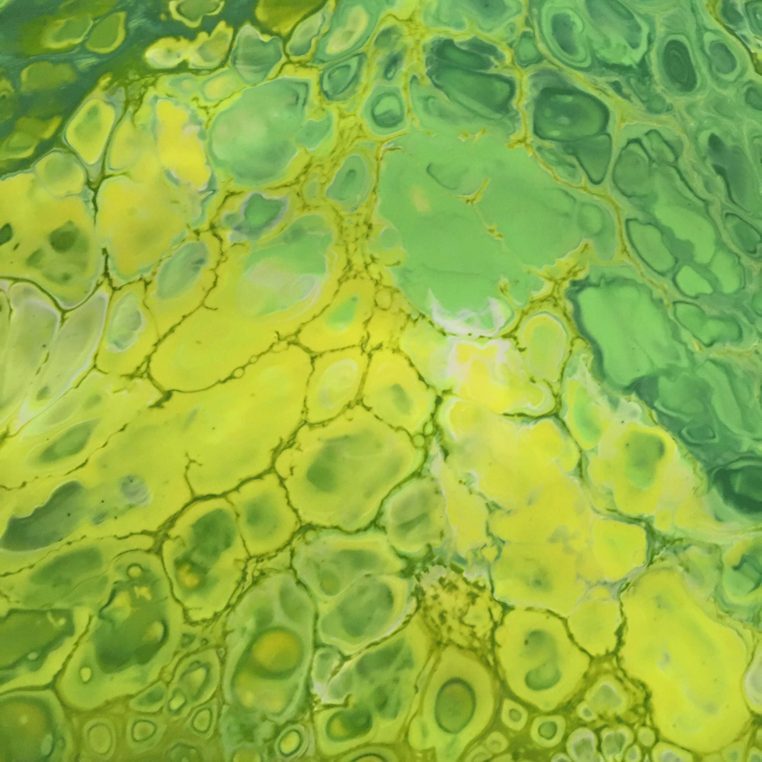 Acrylic 2.jpeg