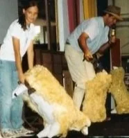 Shearing+cropped.jpg