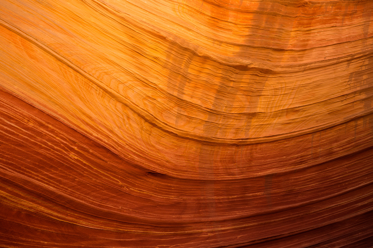 Wavelengths-WEB.jpg