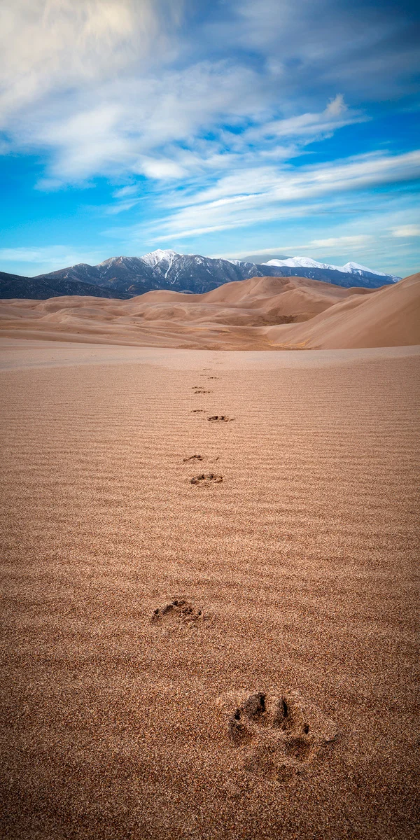 Great Sand Dunes National Park, Colorado