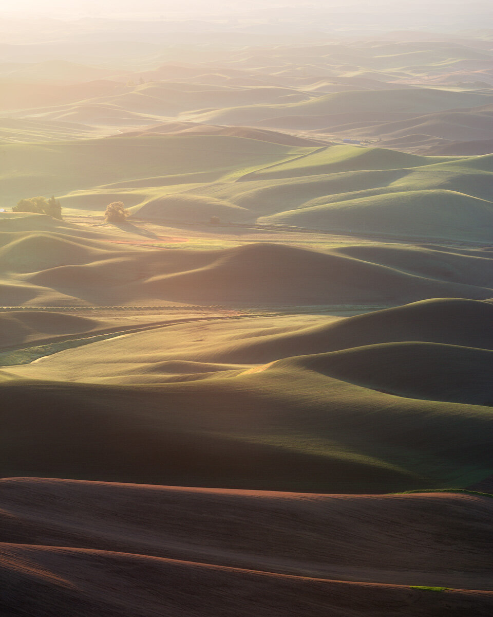 Flow.jpg