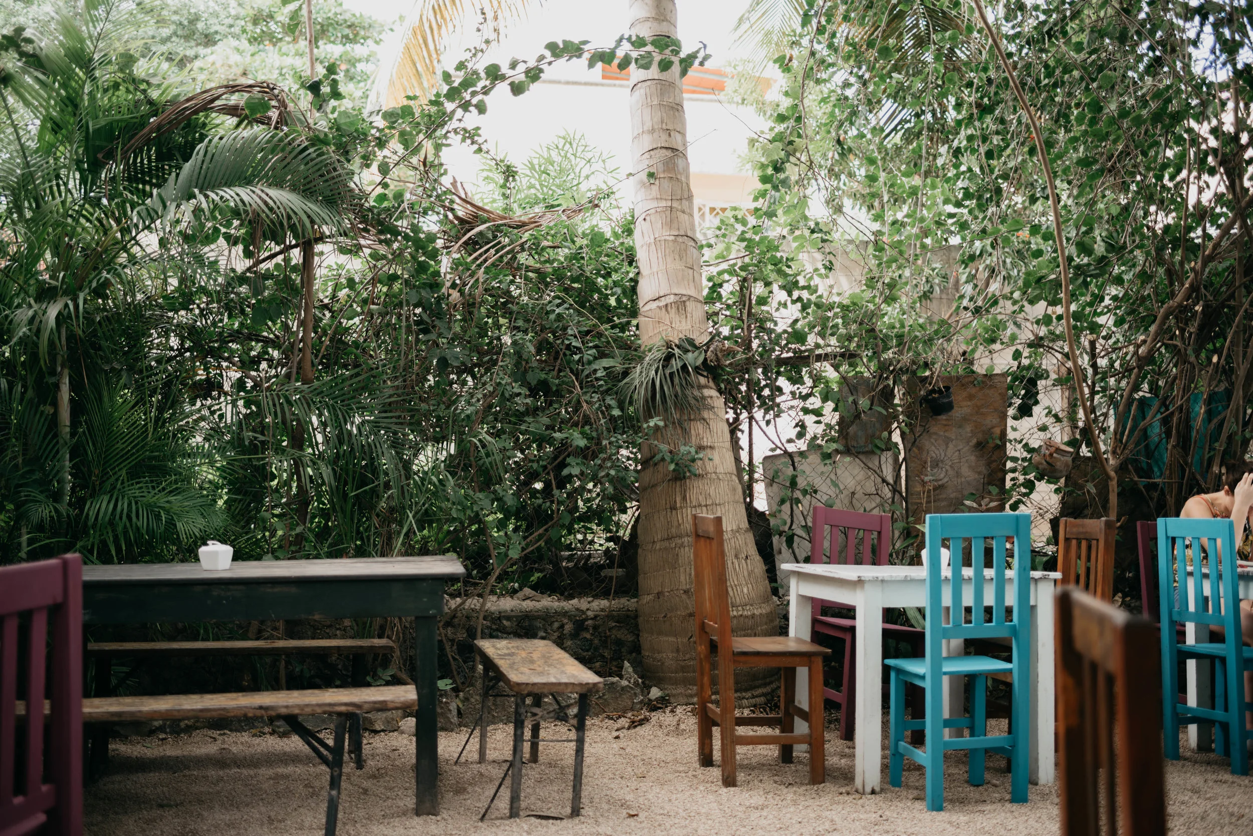 Mornings in the jungle, via Azafran.