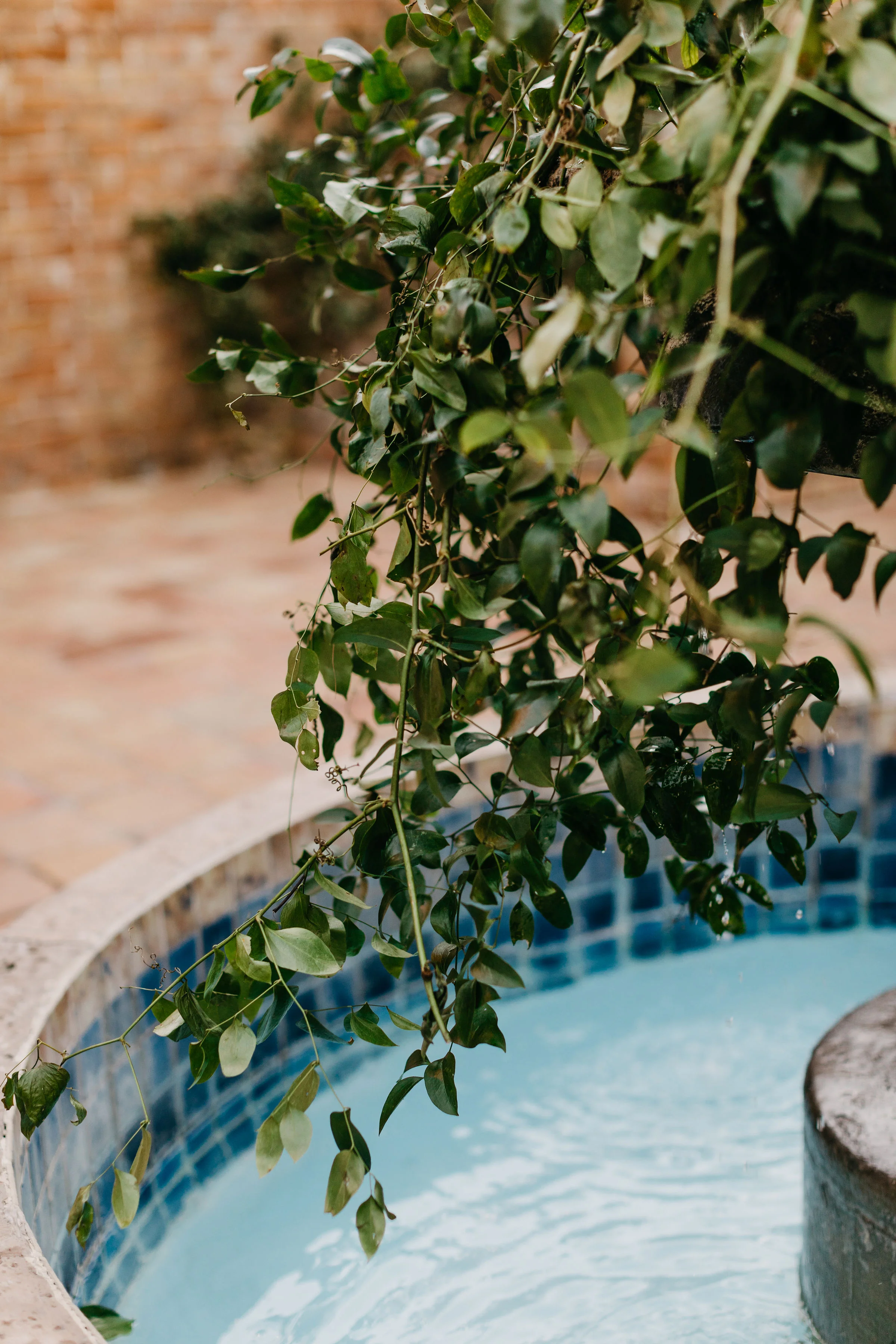 VenueDetails-312.jpg
