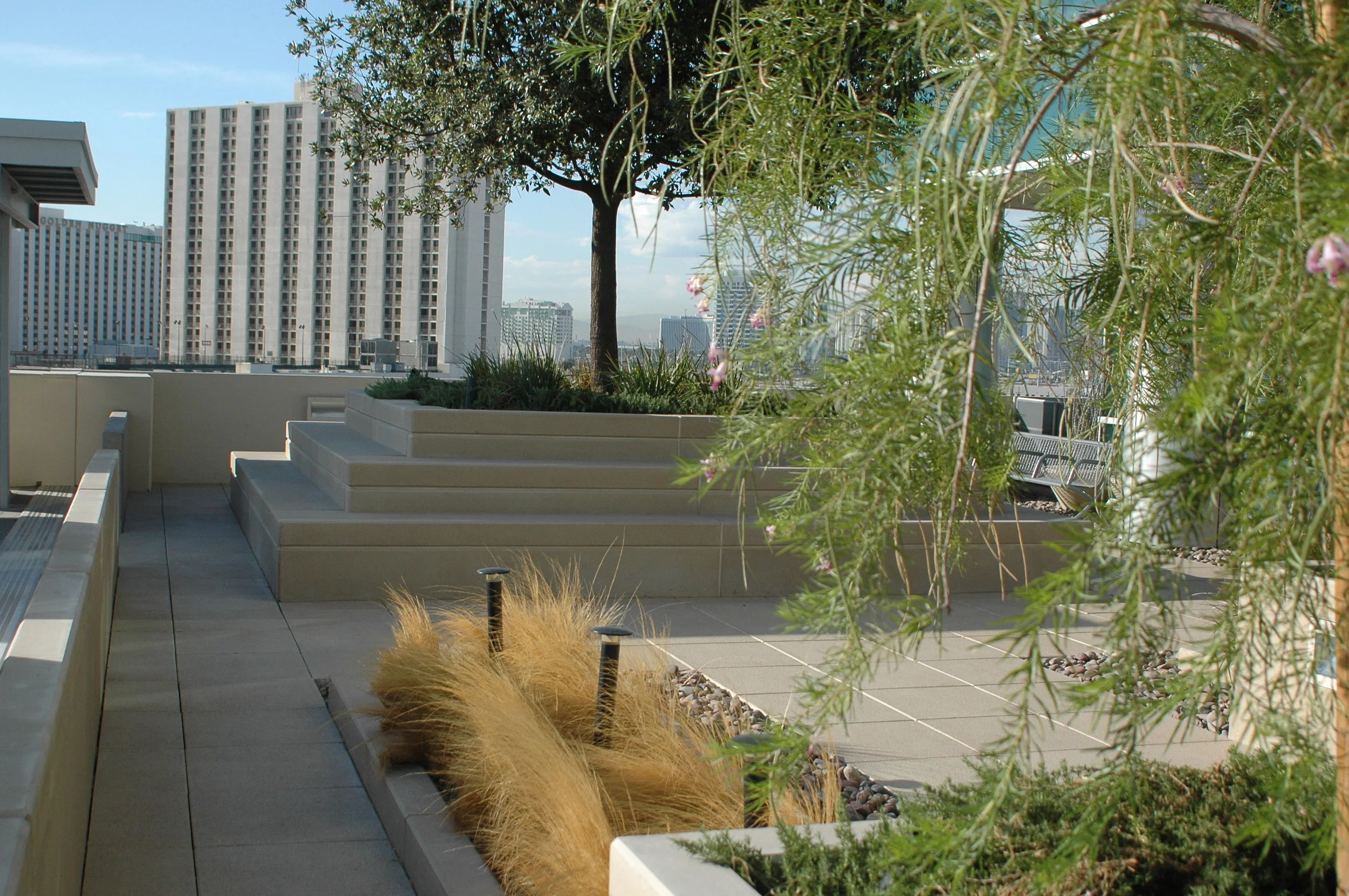 RRC-VegasShots-09-2008-set1 027.jpg