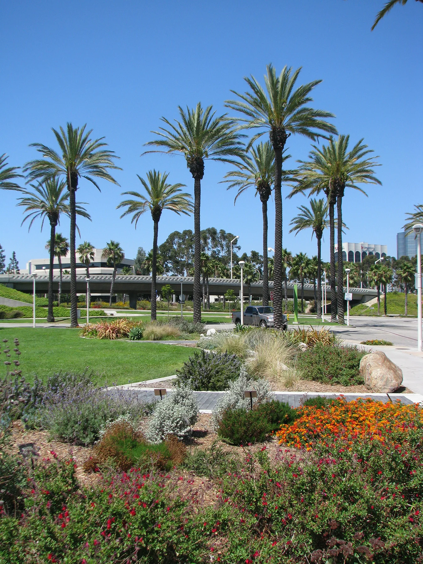 AOP-garden across view.jpg