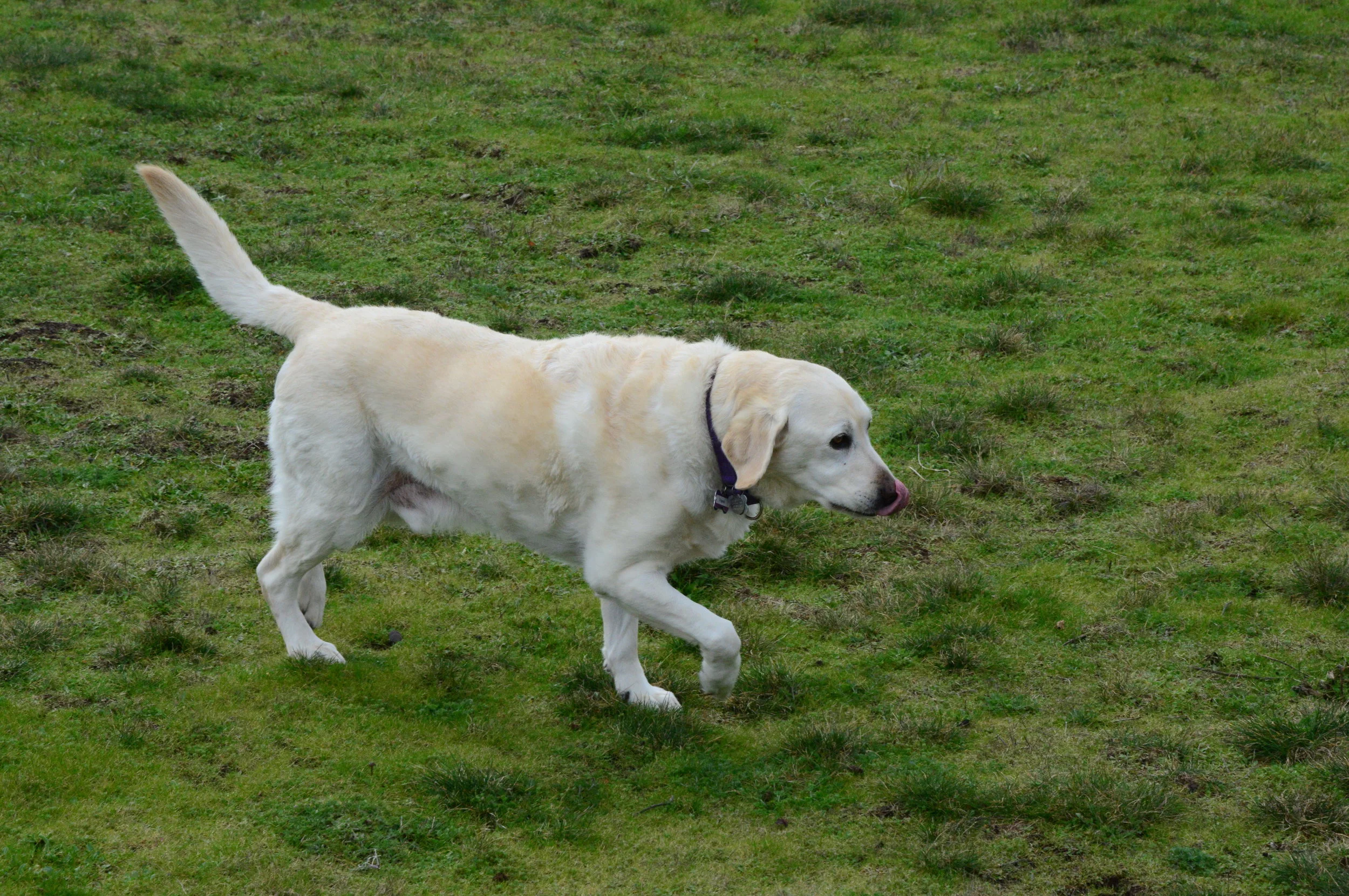 DSC_0933.JPG
