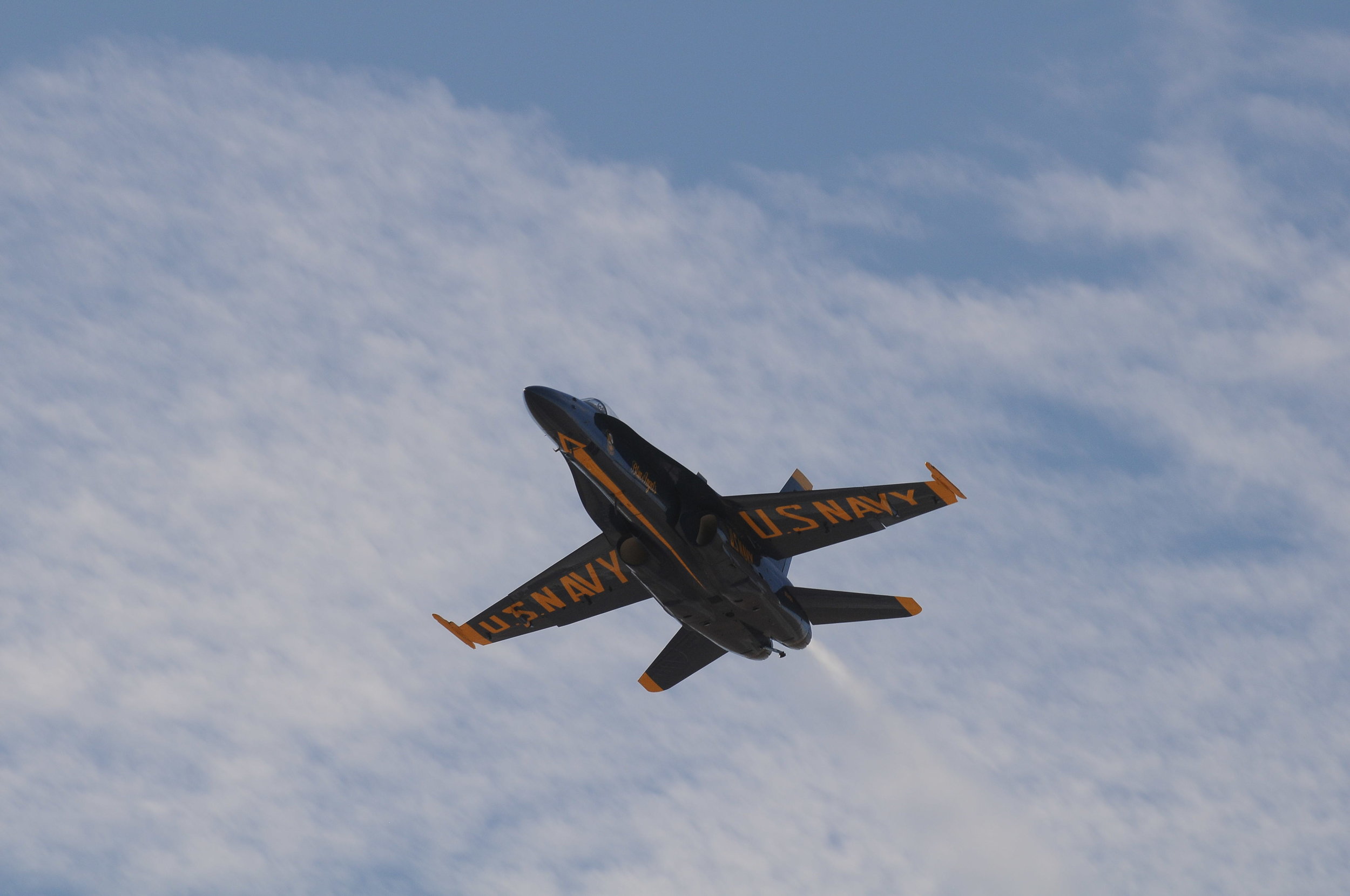 DSC_3932.JPG