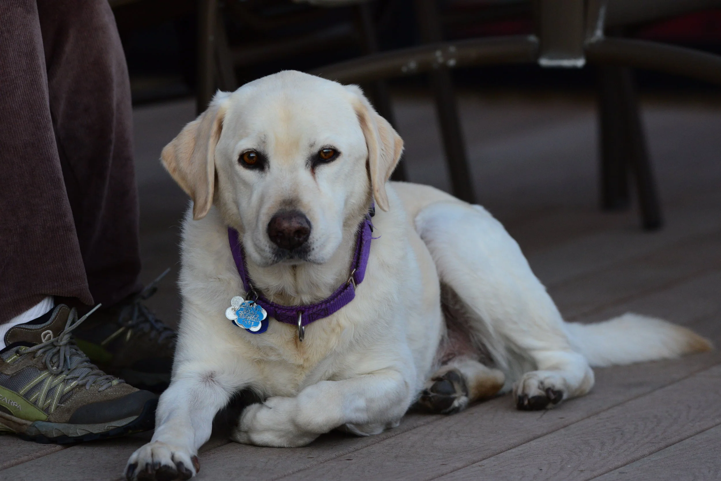 DSC_6864.JPG