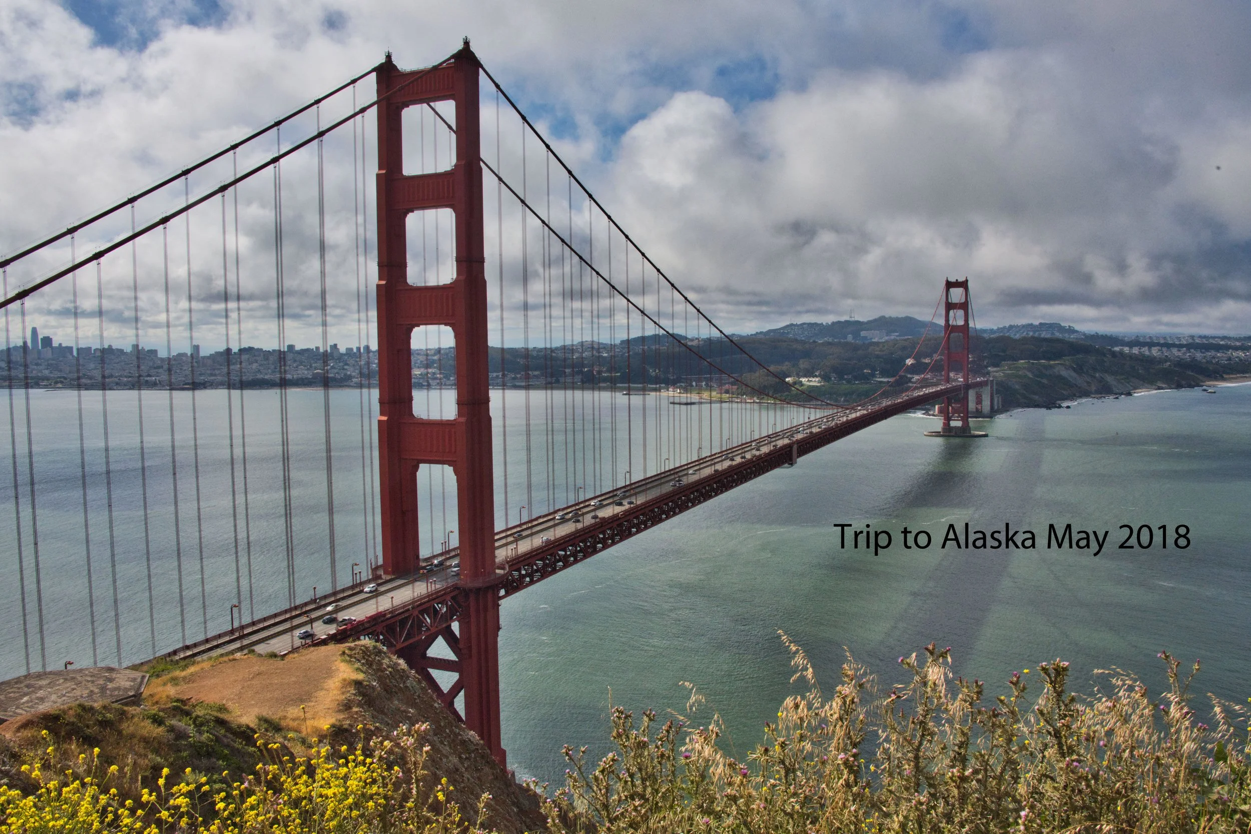 DSC_8595a.jpg